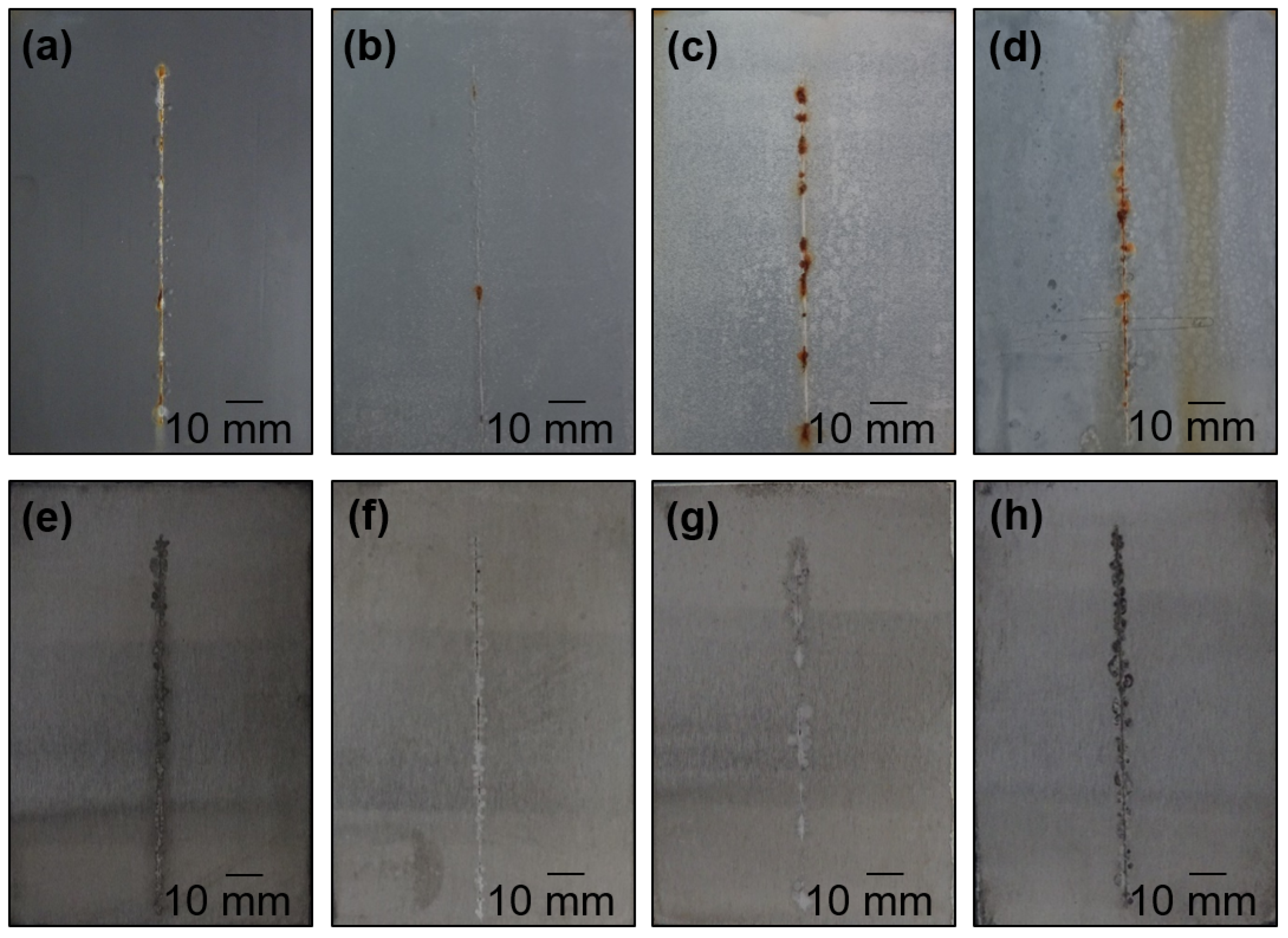 Coatings 14 01009 g006