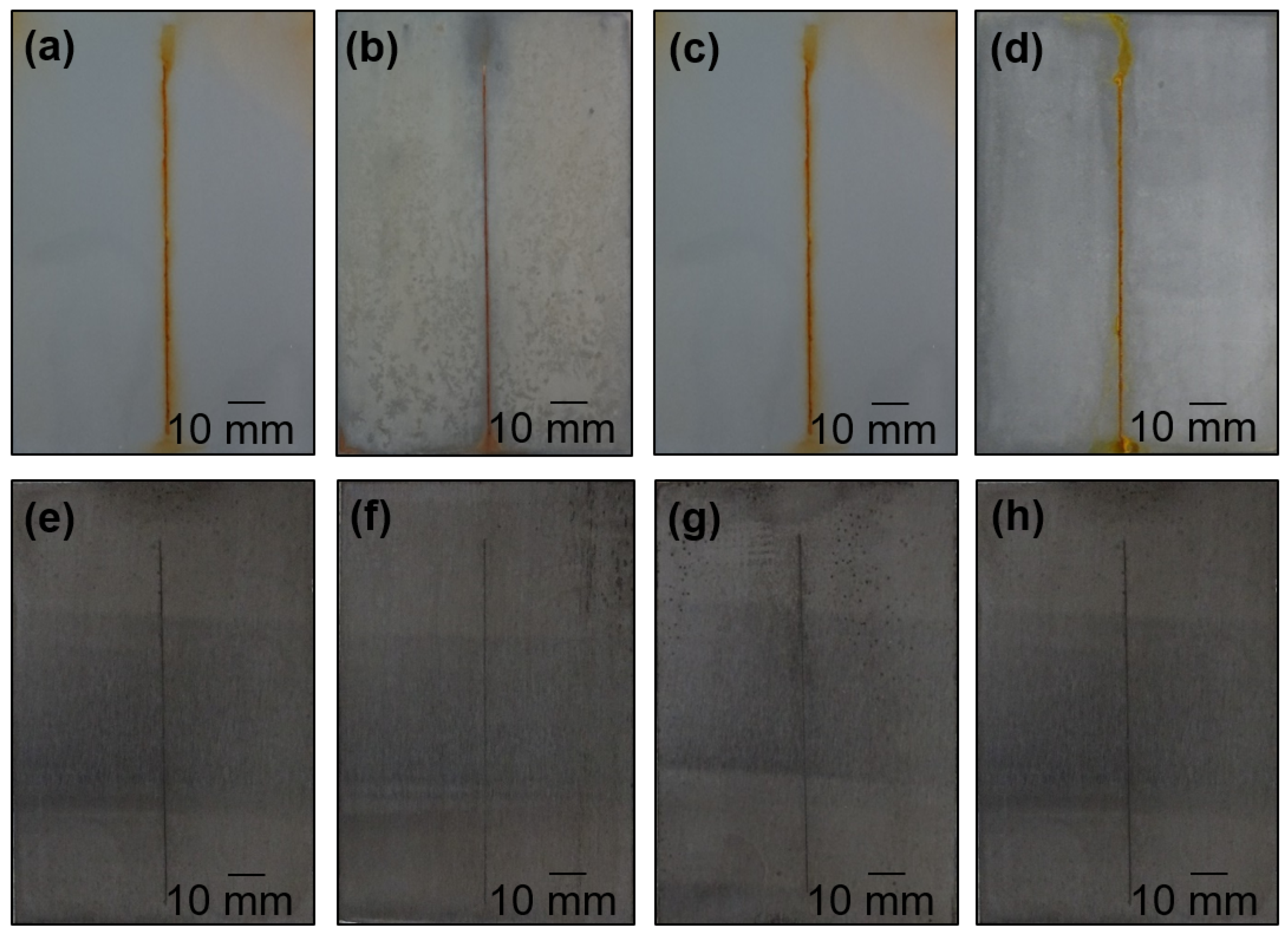 Coatings 14 01009 g012