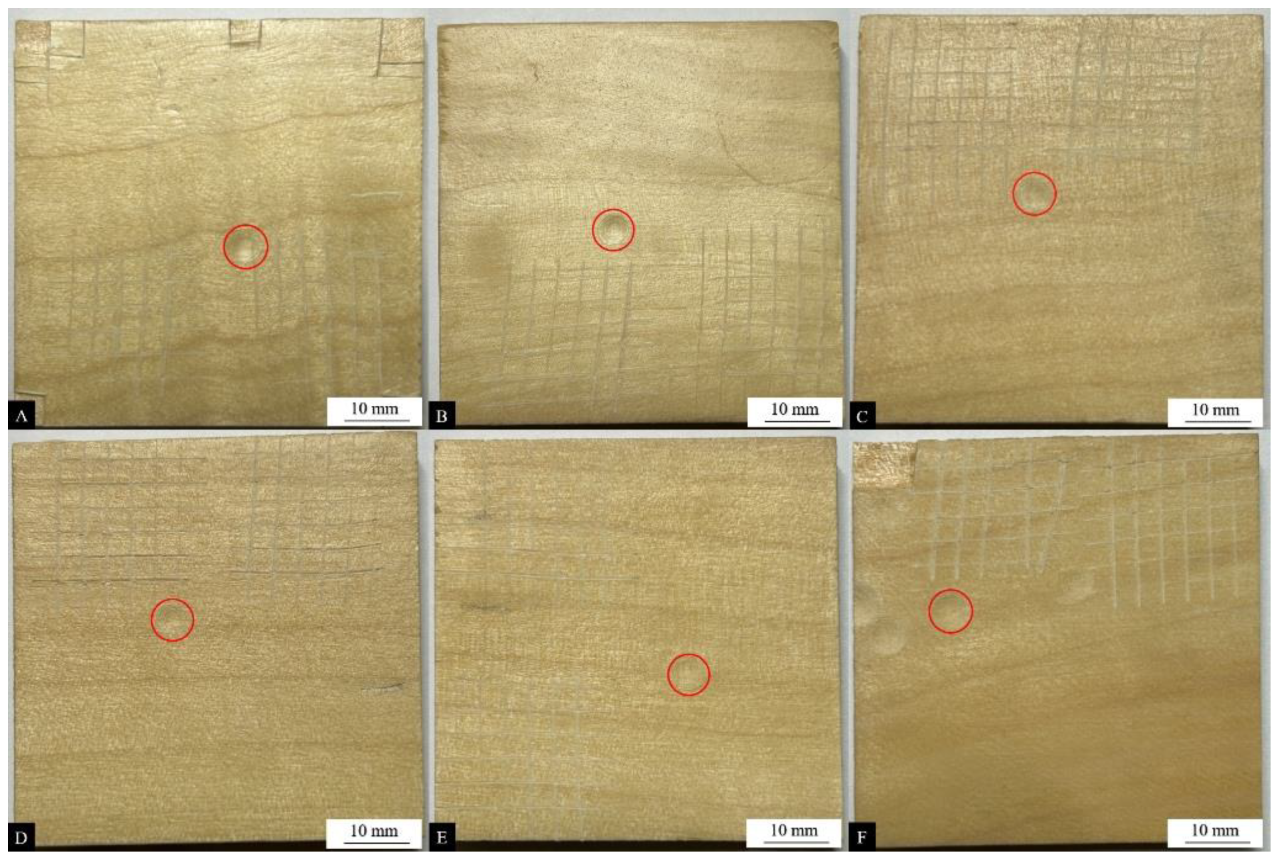 Coatings 14 01011 g006