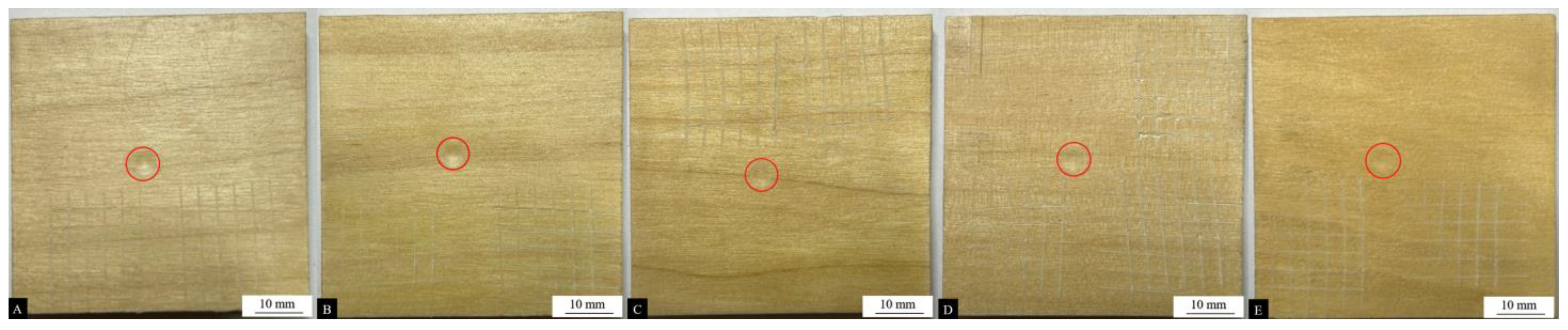 Coatings 14 01011 g008