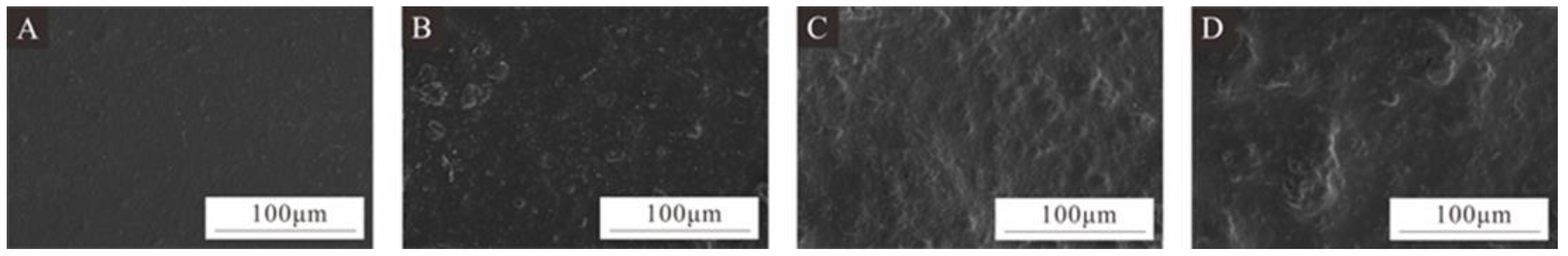 Coatings 14 01011 g012