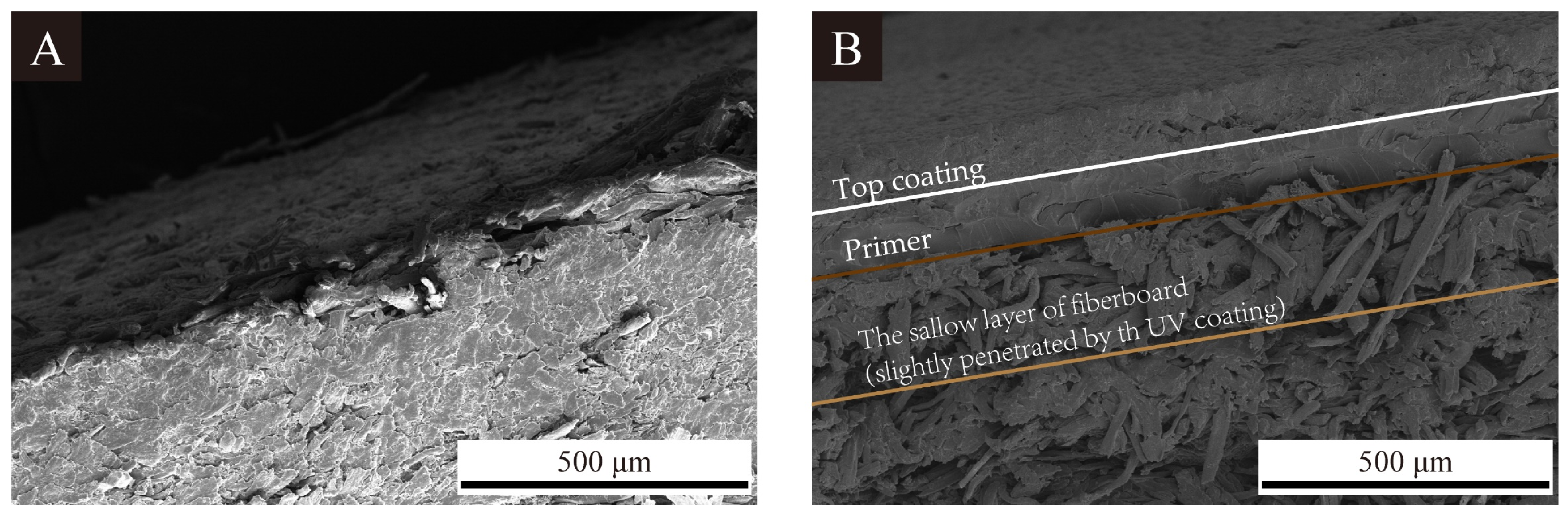 Coatings 14 01012 g005