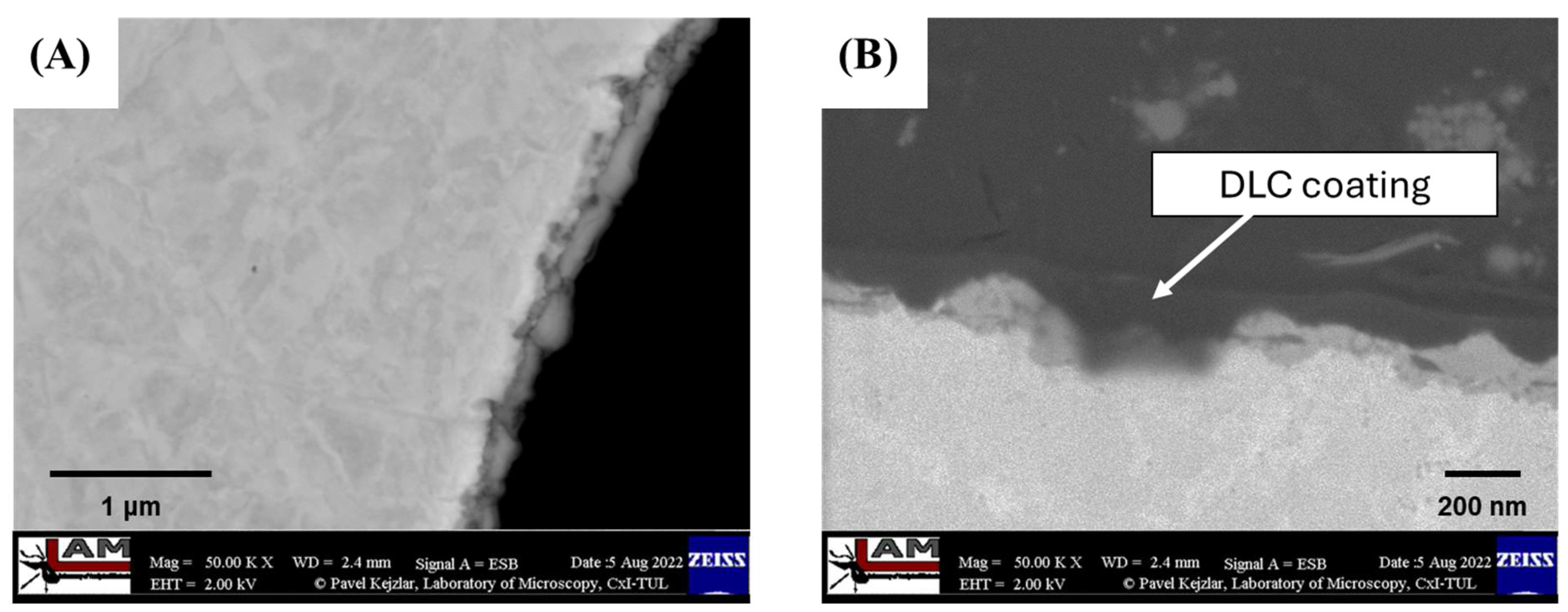 Coatings 14 01018 g004
