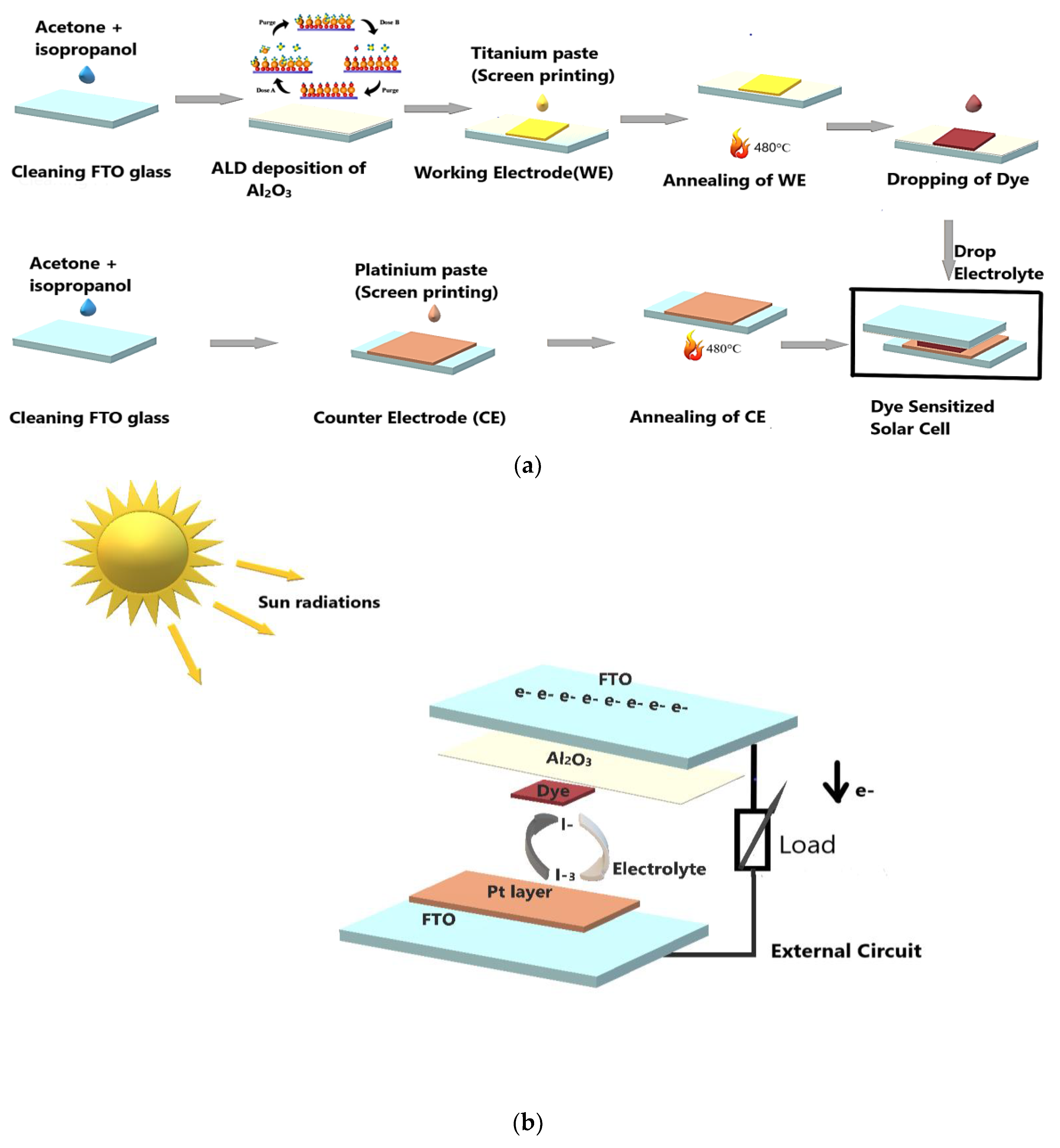 Coatings 14 01019 g001