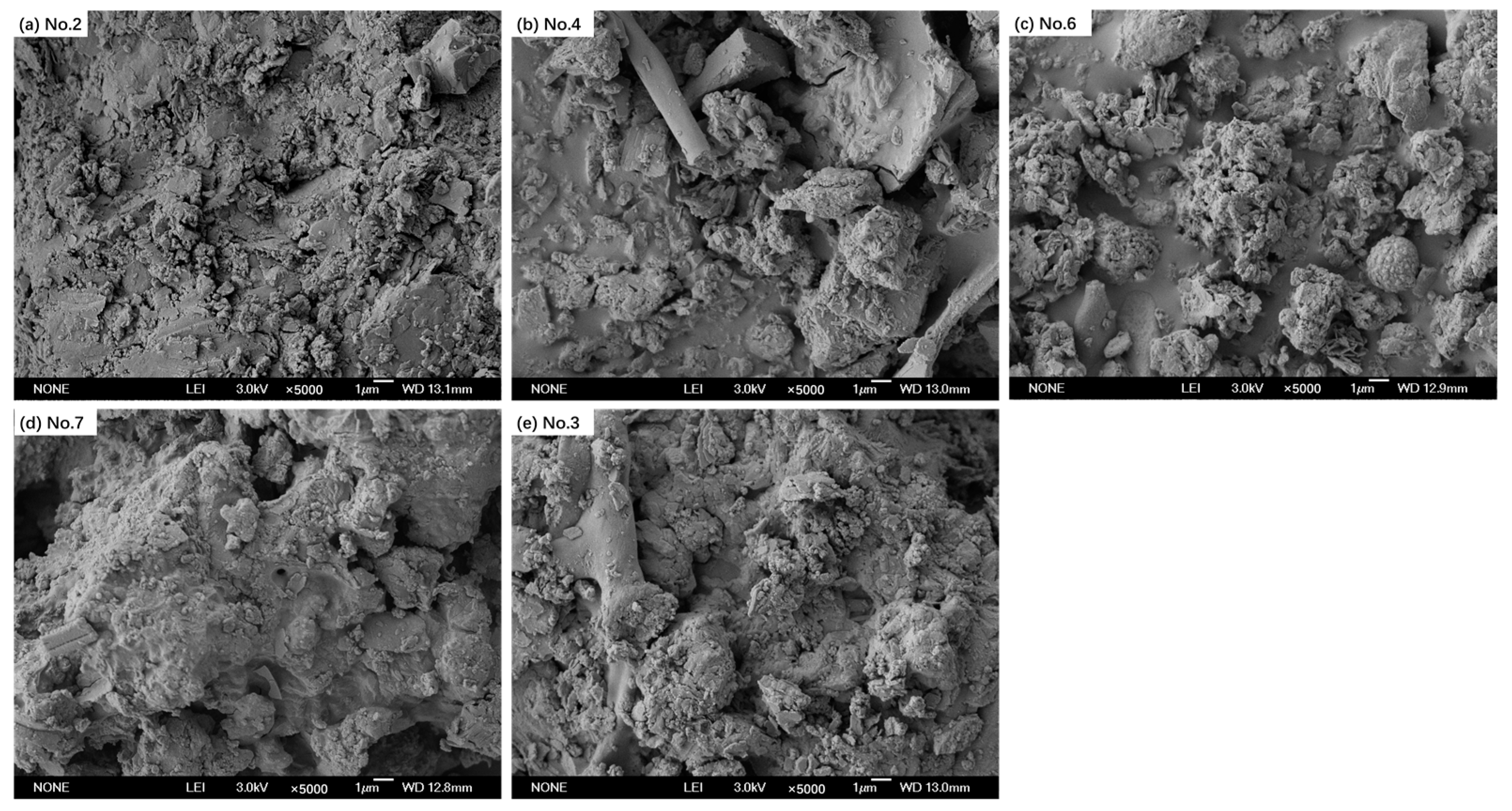 Coatings 14 01022 g012