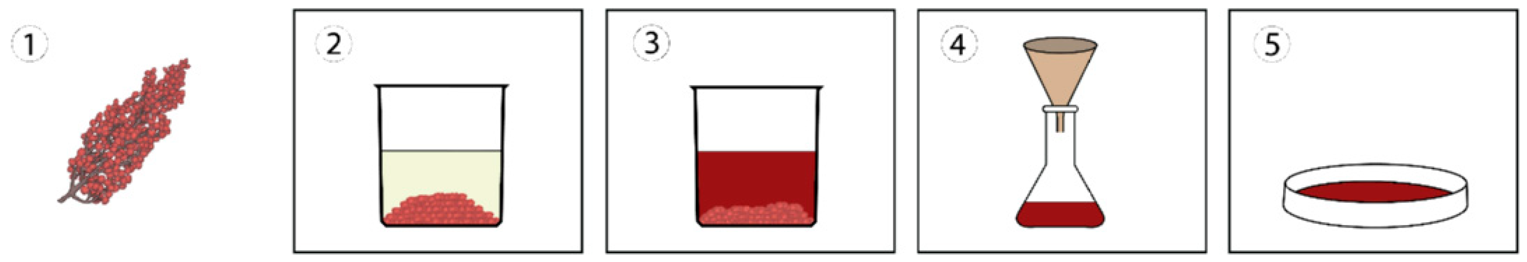 Coatings 14 01025 g001