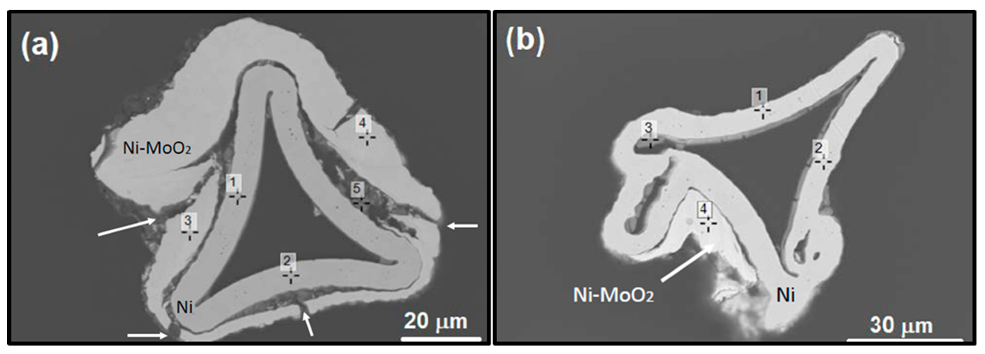 Coatings 14 01026 g004