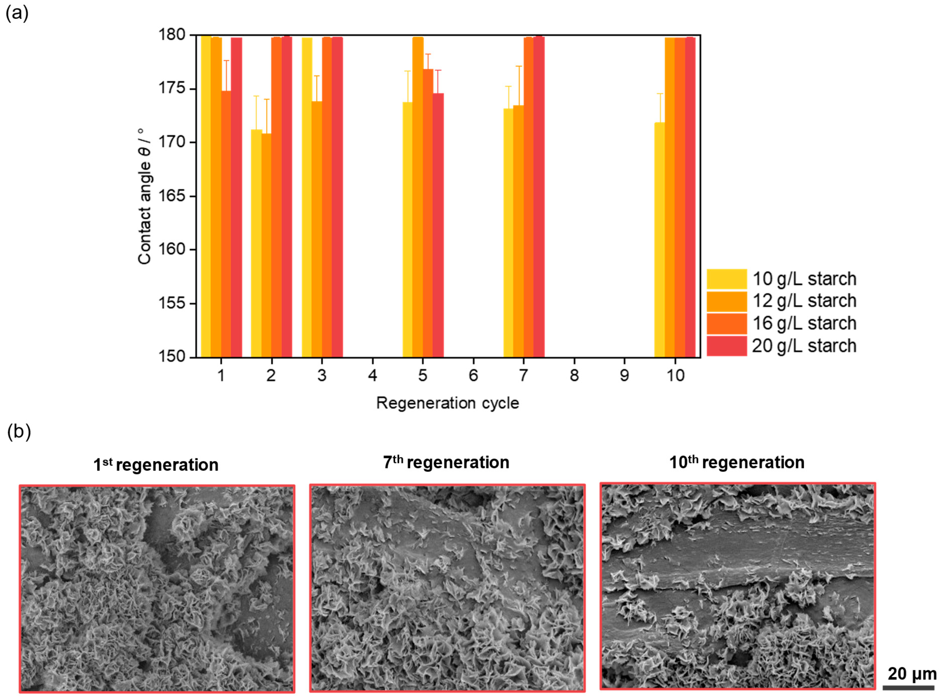 Coatings 14 01028 g005