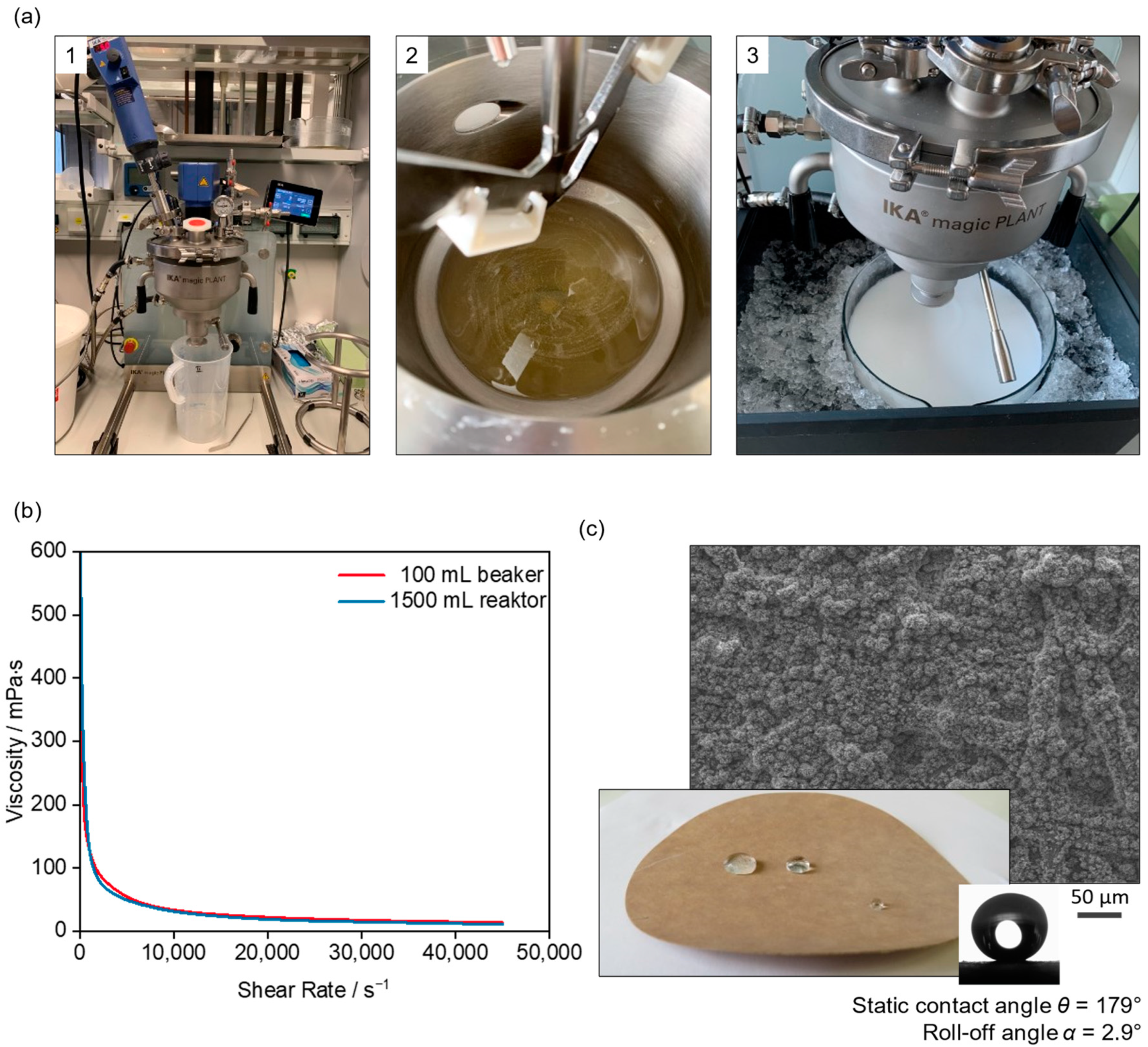 Coatings 14 01028 g006