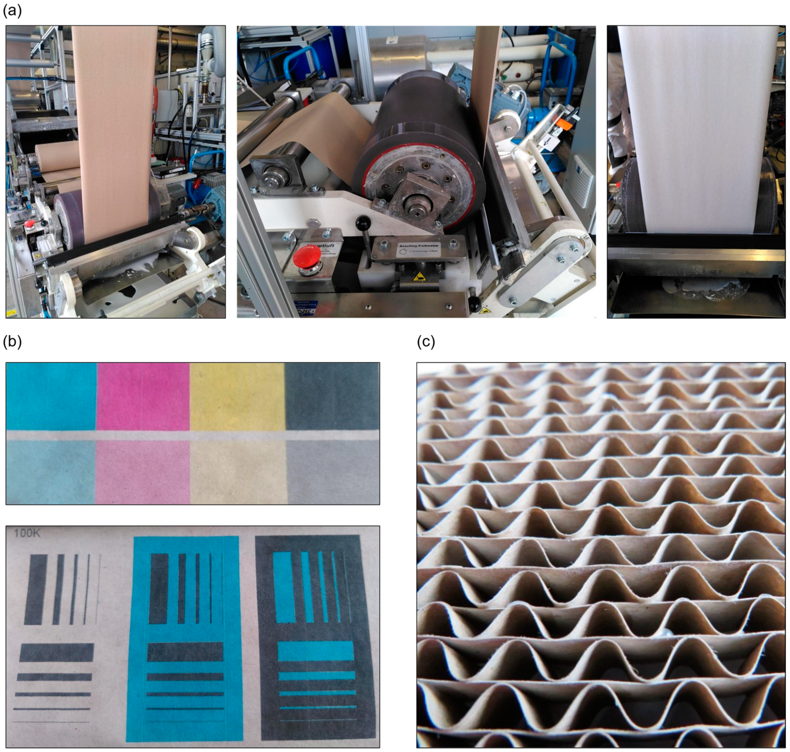 Coatings 14 01028 g011