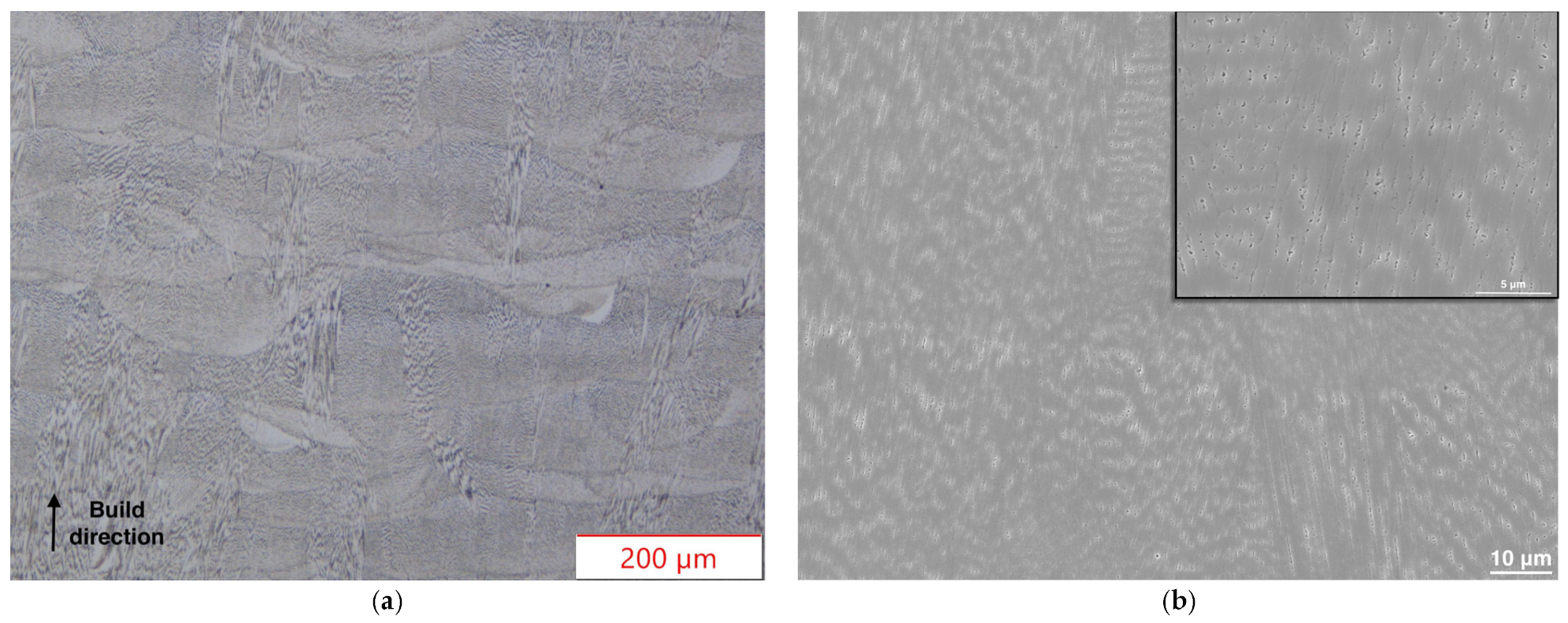 Coatings 14 01029 g001