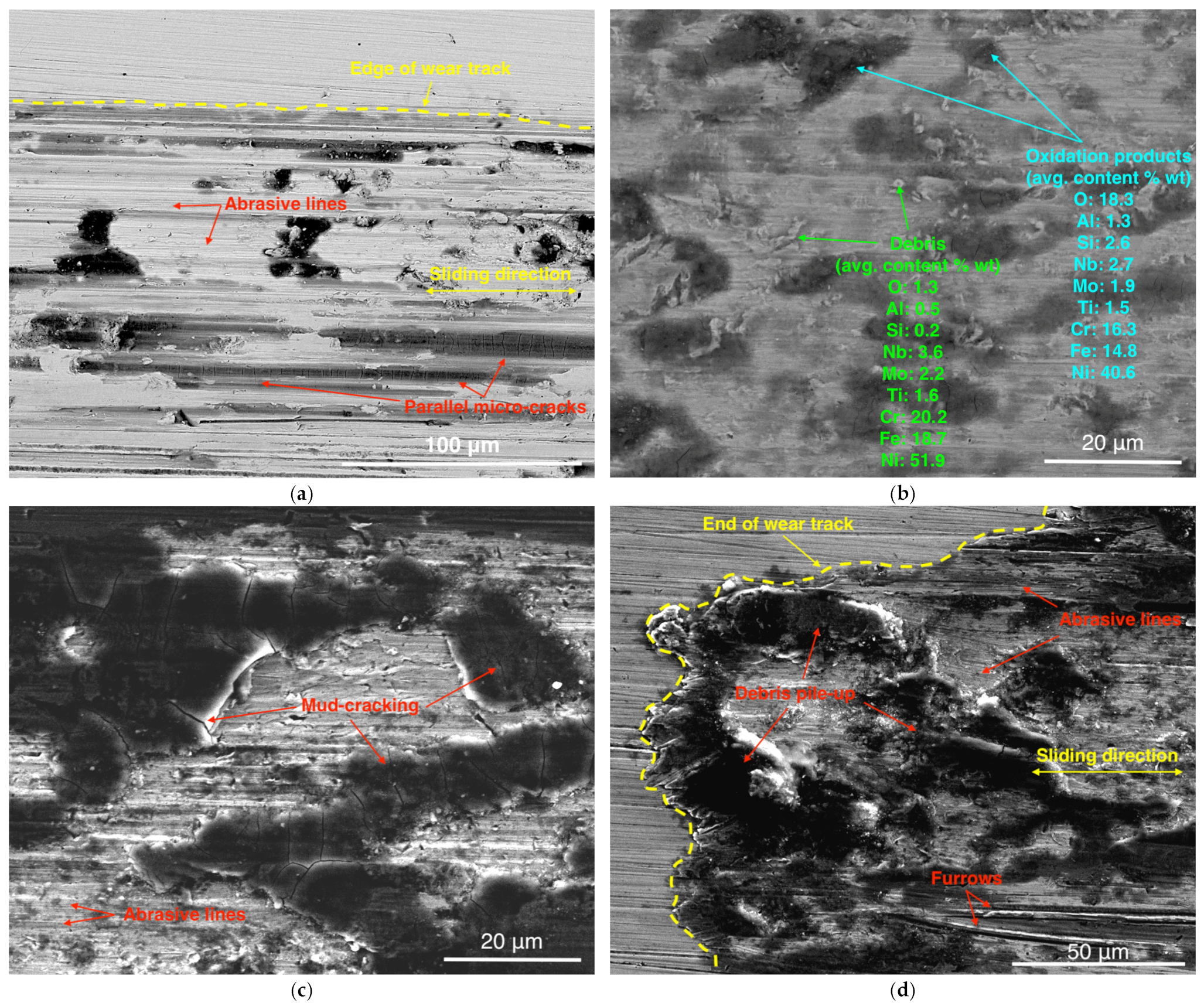 Coatings 14 01029 g007