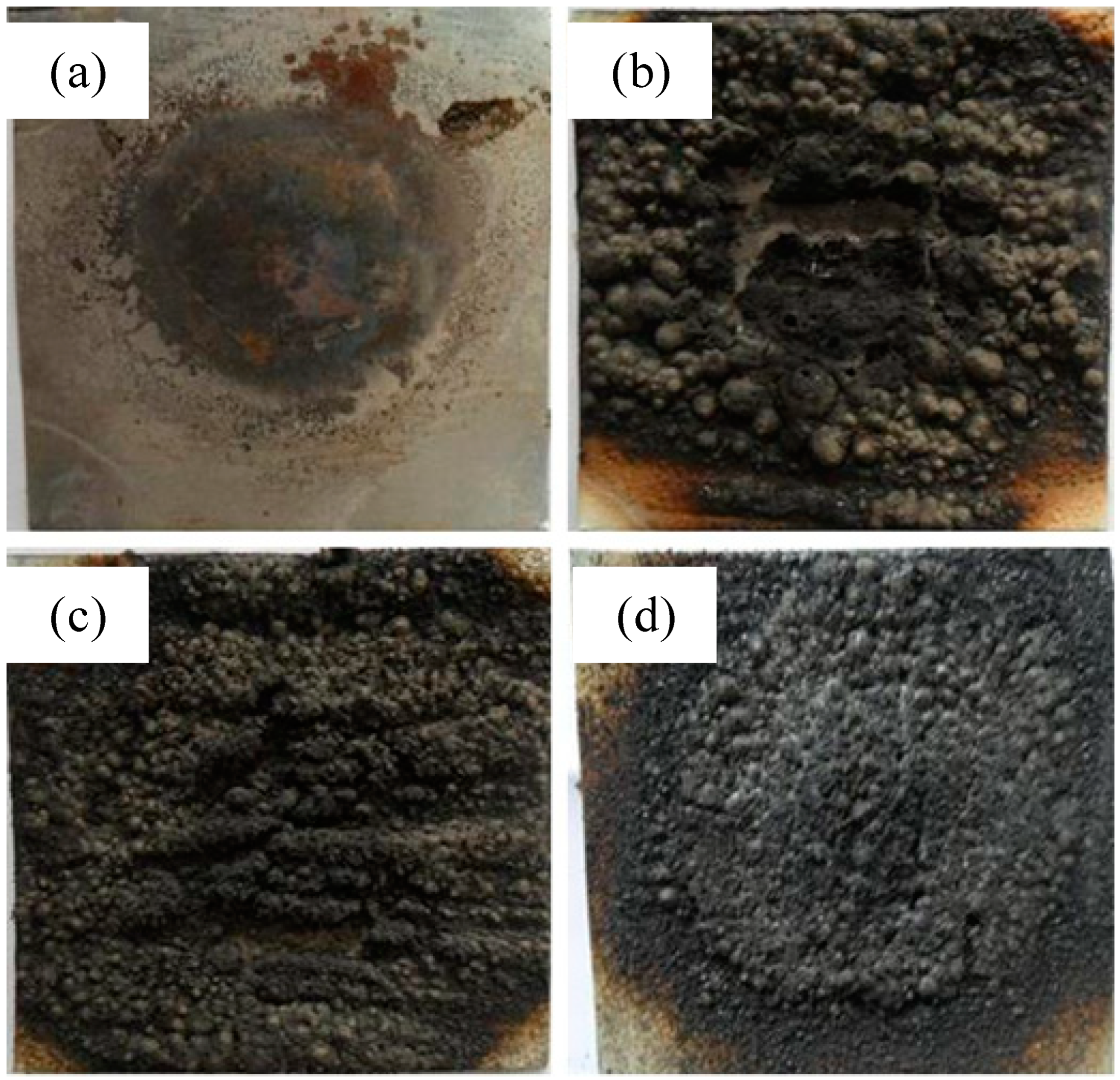 Coatings 14 01034 g009