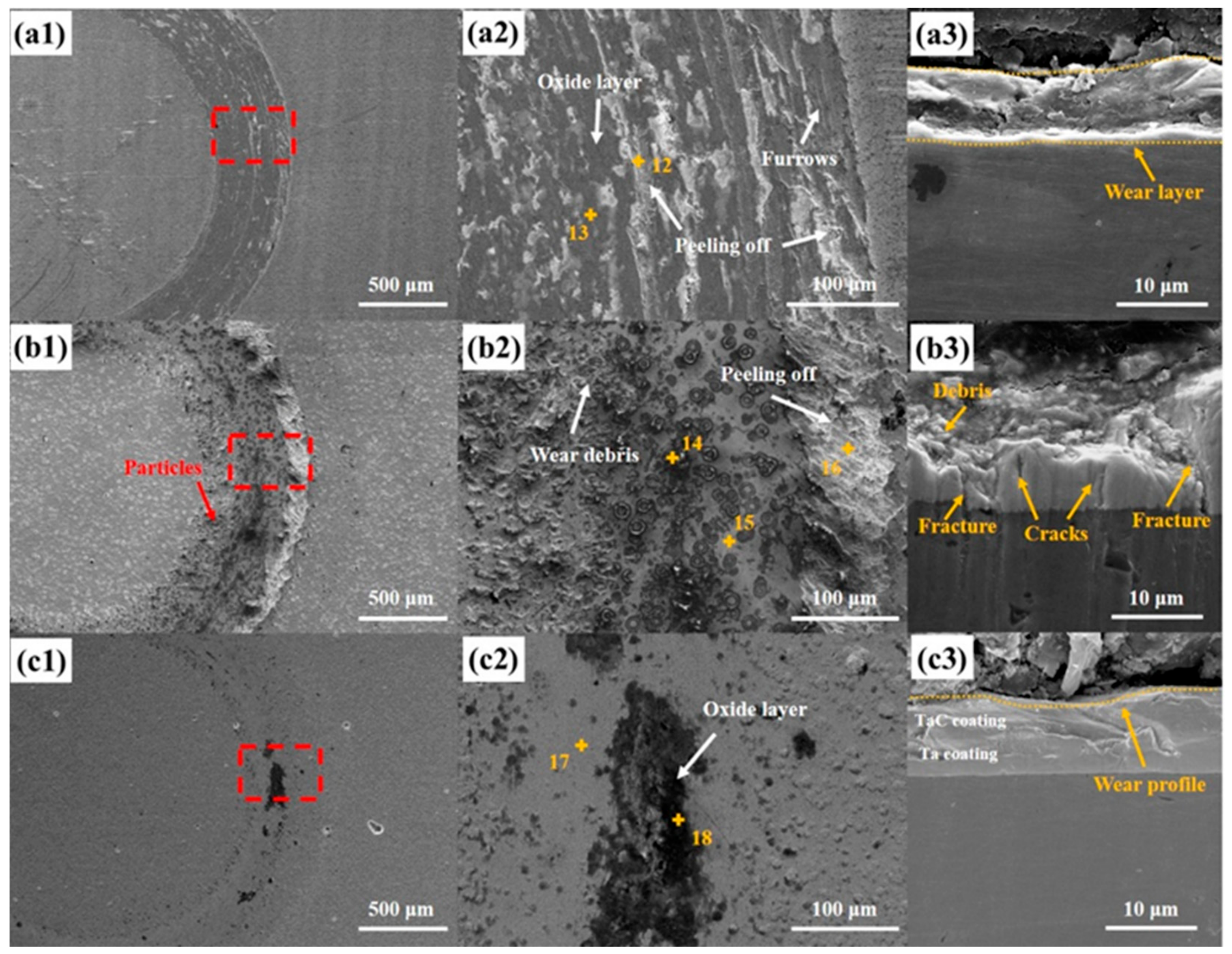 Coatings 14 01039 g009