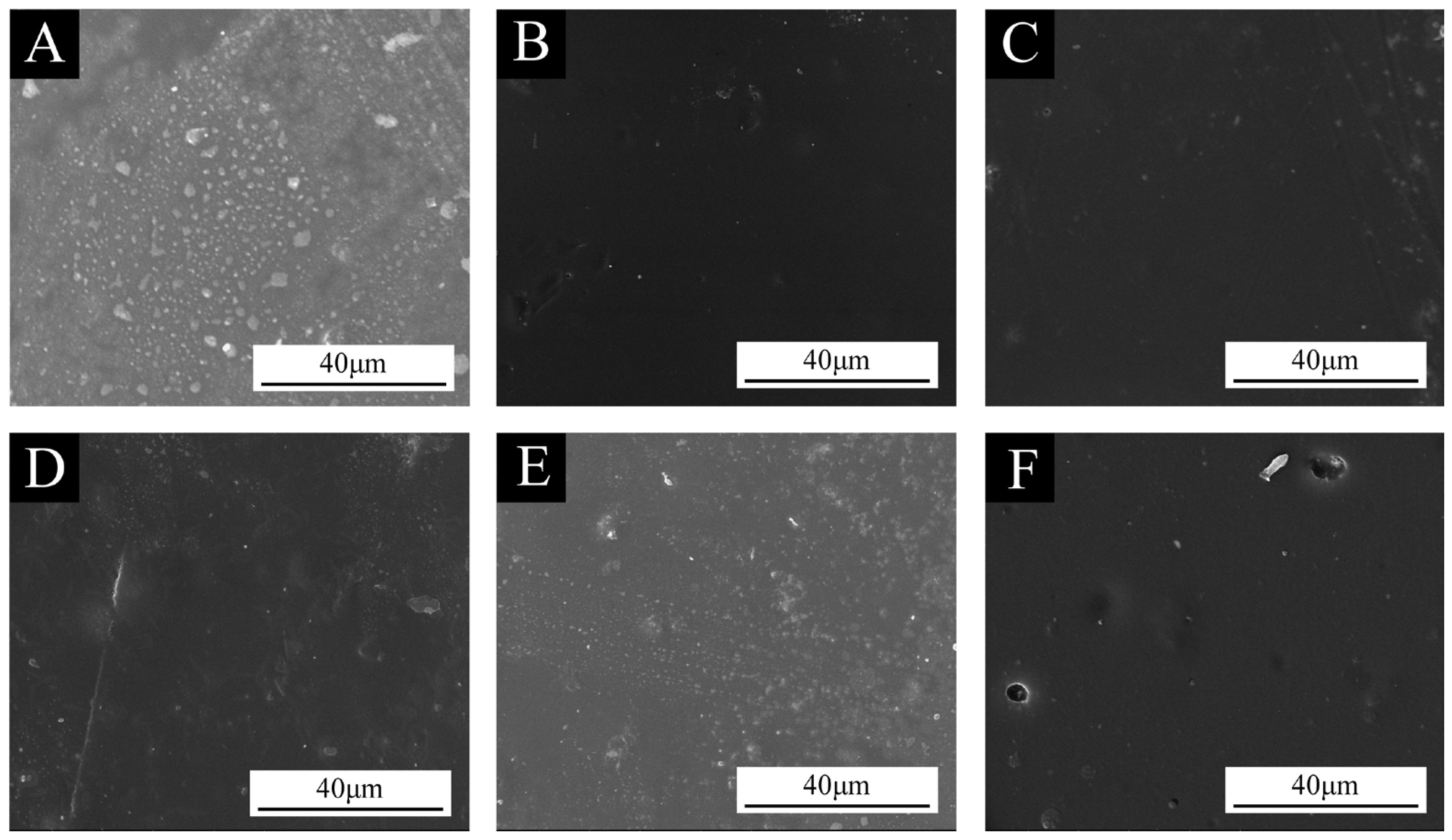 Coatings 14 01042 g004
