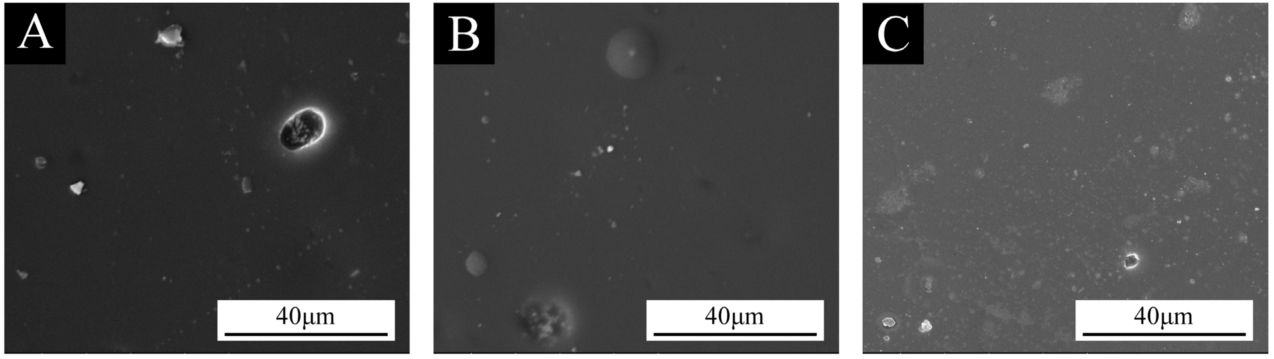 Coatings 14 01042 g012