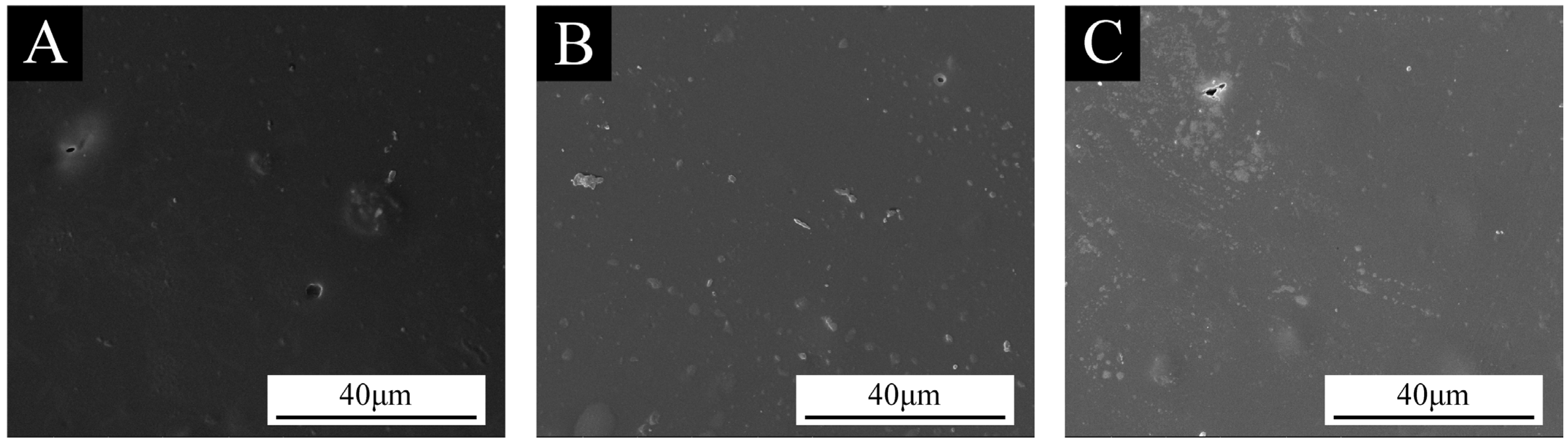 Coatings 14 01042 g013