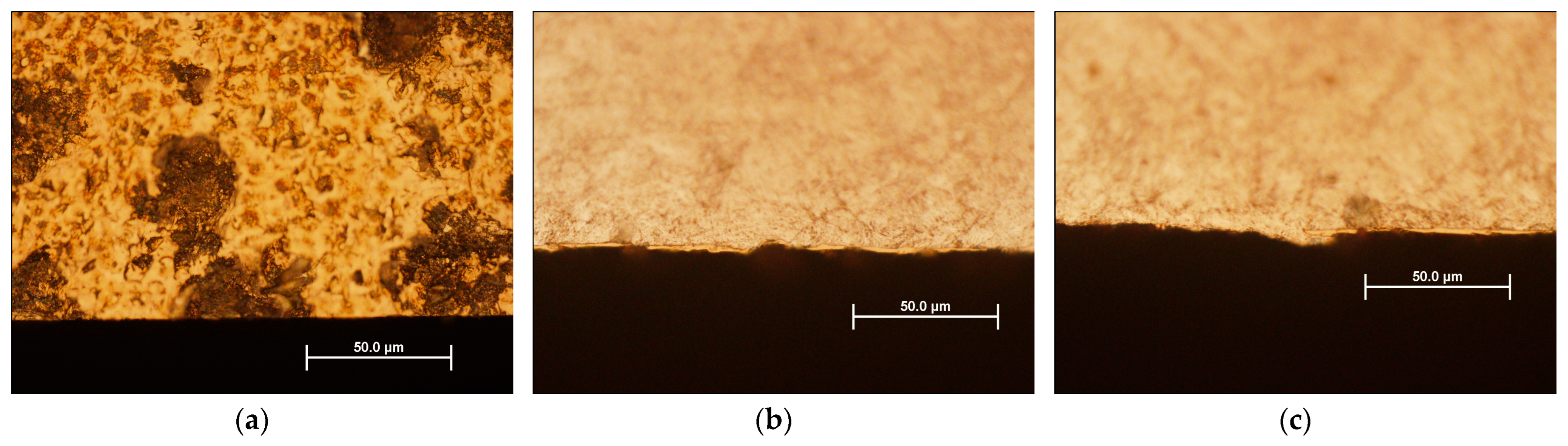Coatings 14 01043 g004