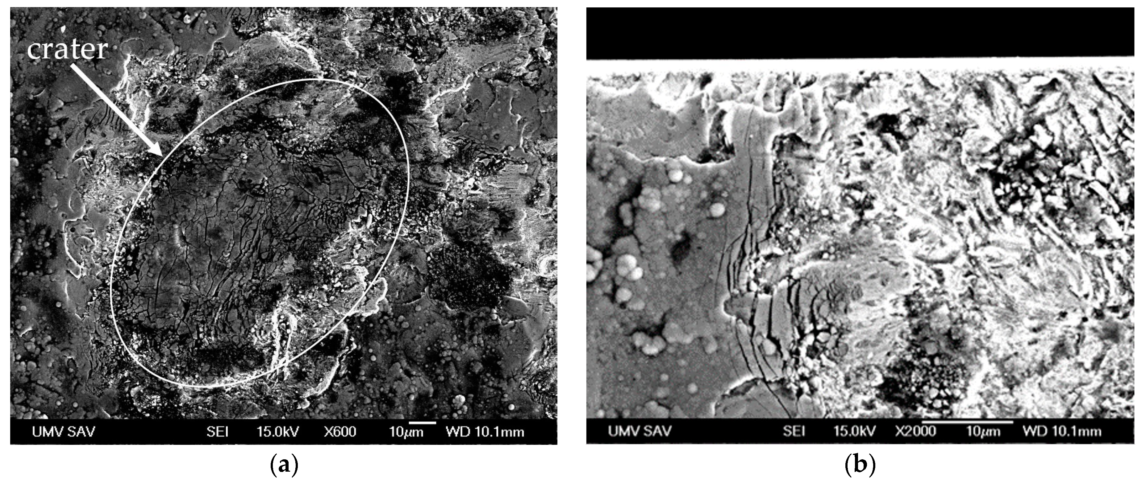Coatings 14 01043 g005