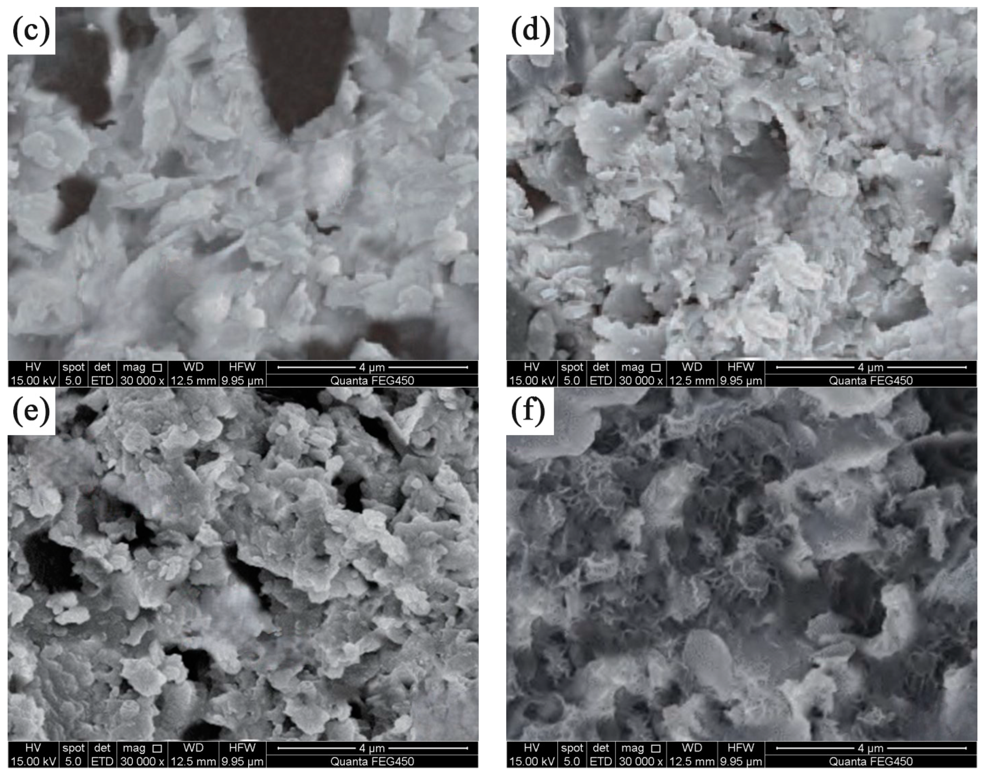 Coatings 14 01044 g007b