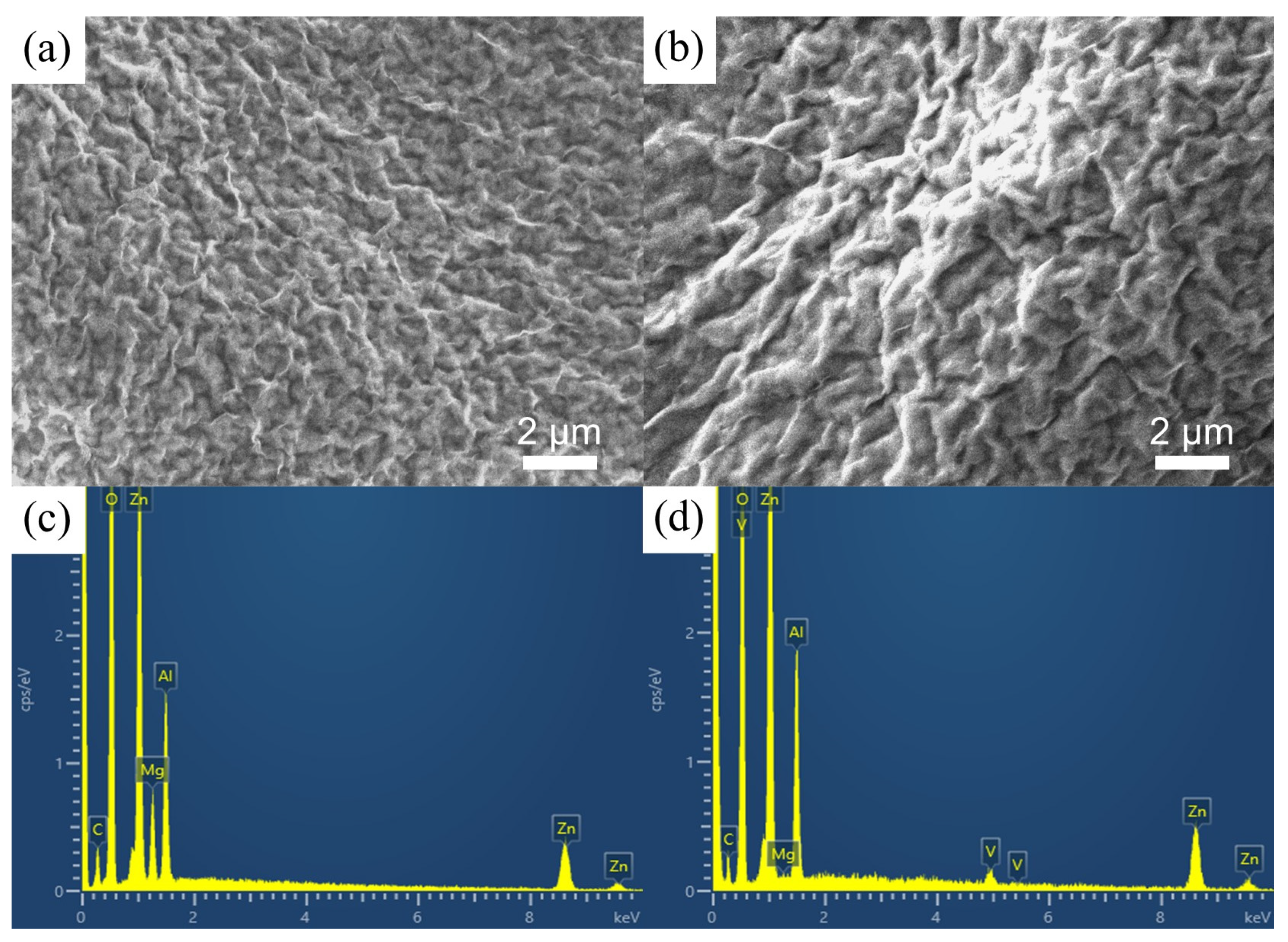 Coatings 14 01047 g002