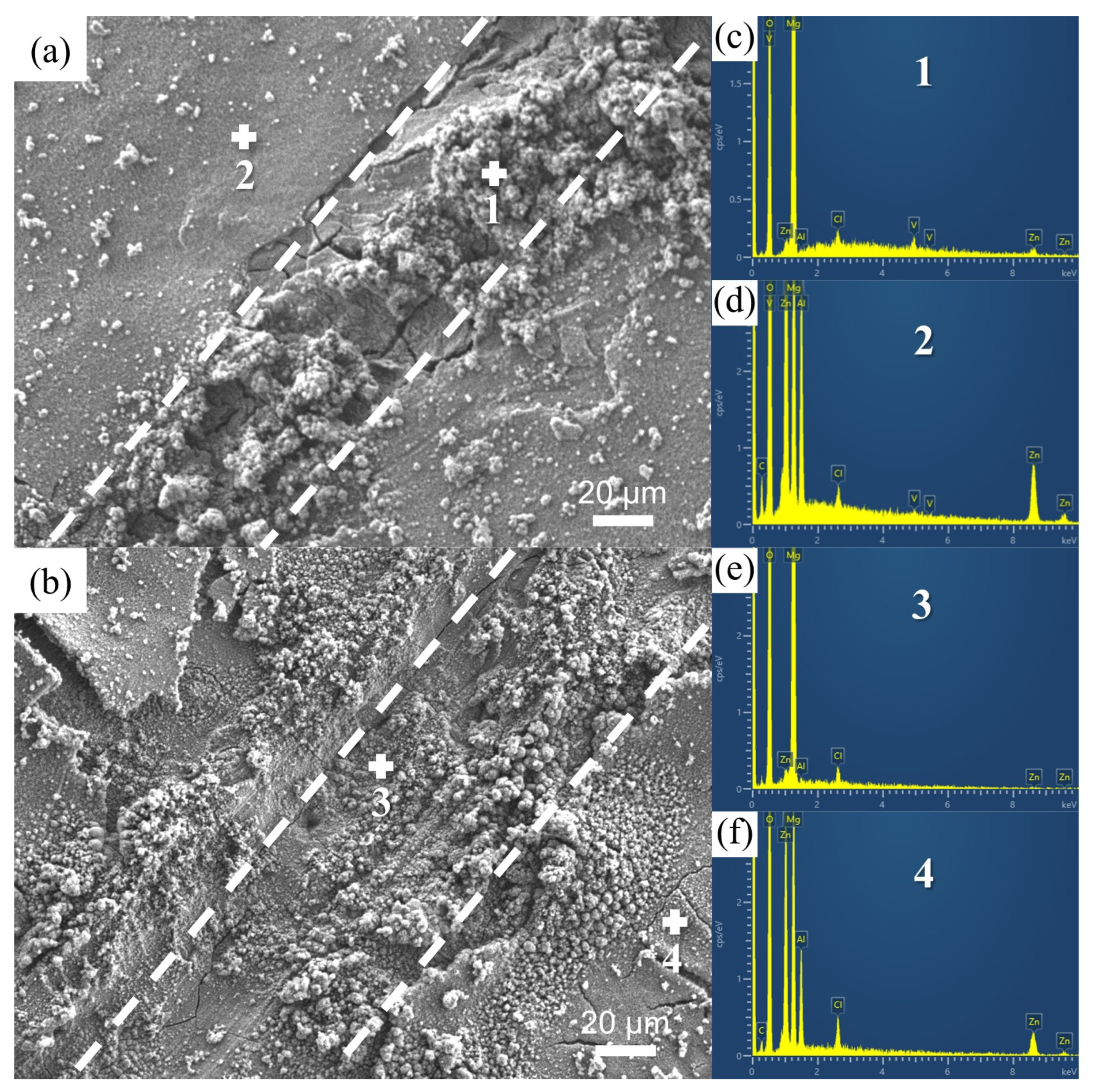 Coatings 14 01047 g008