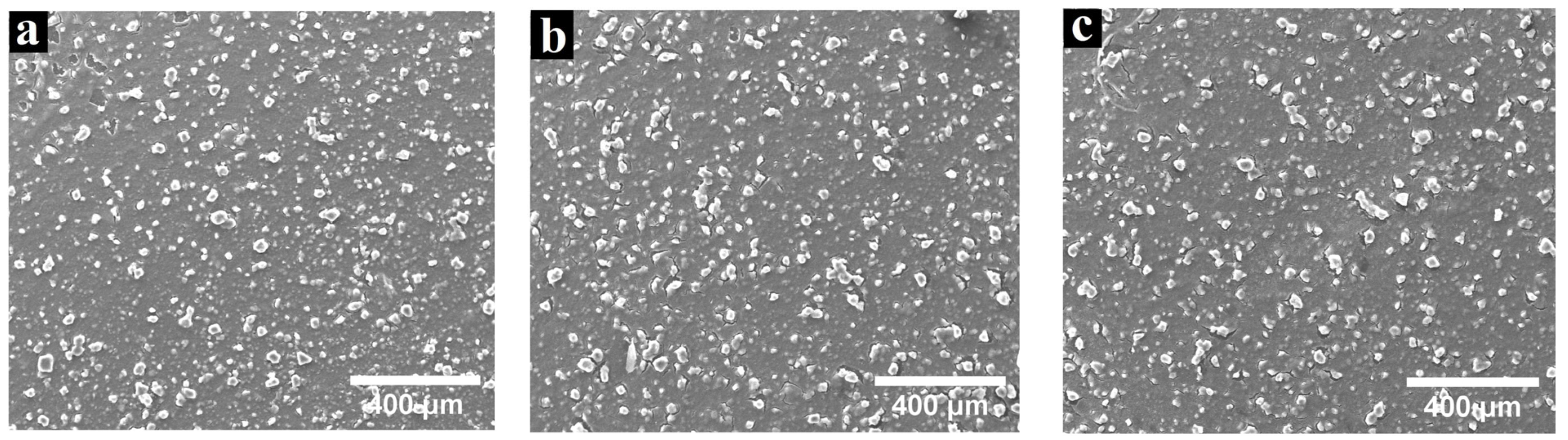 Coatings 14 01048 g010