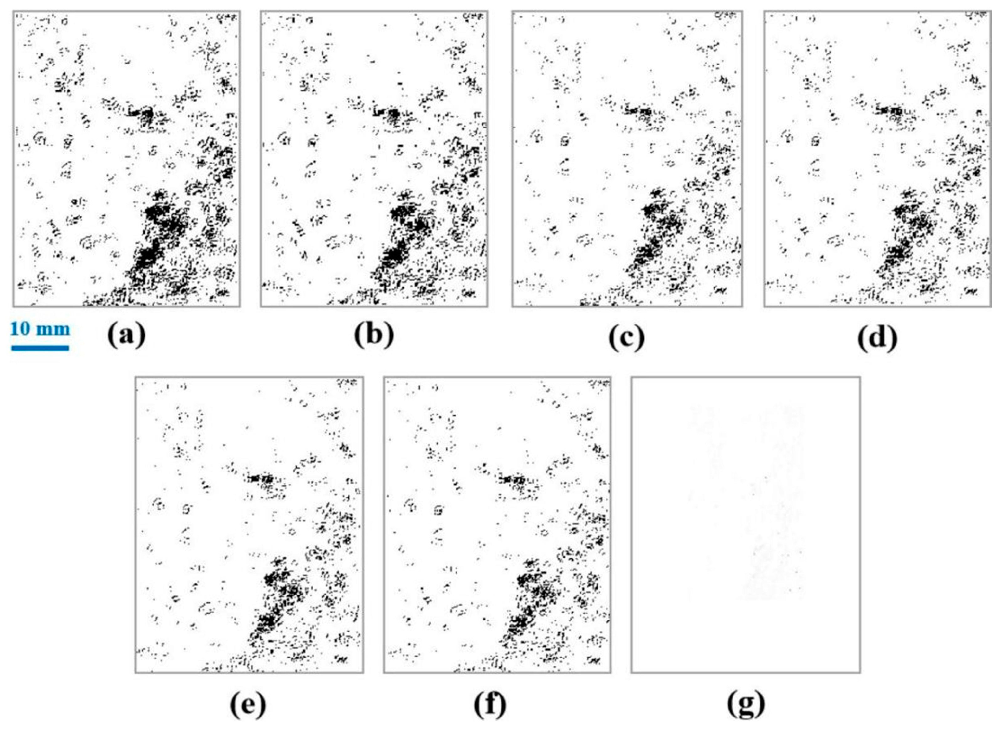 Coatings 14 01051 g003