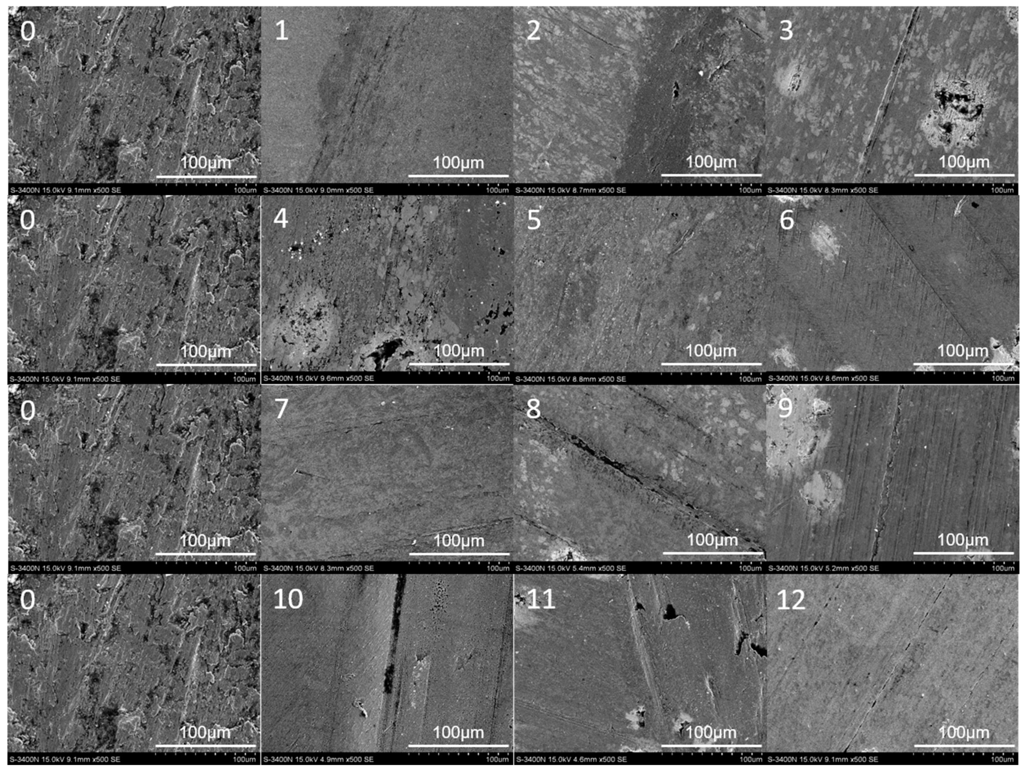 Coatings 14 01054 g012