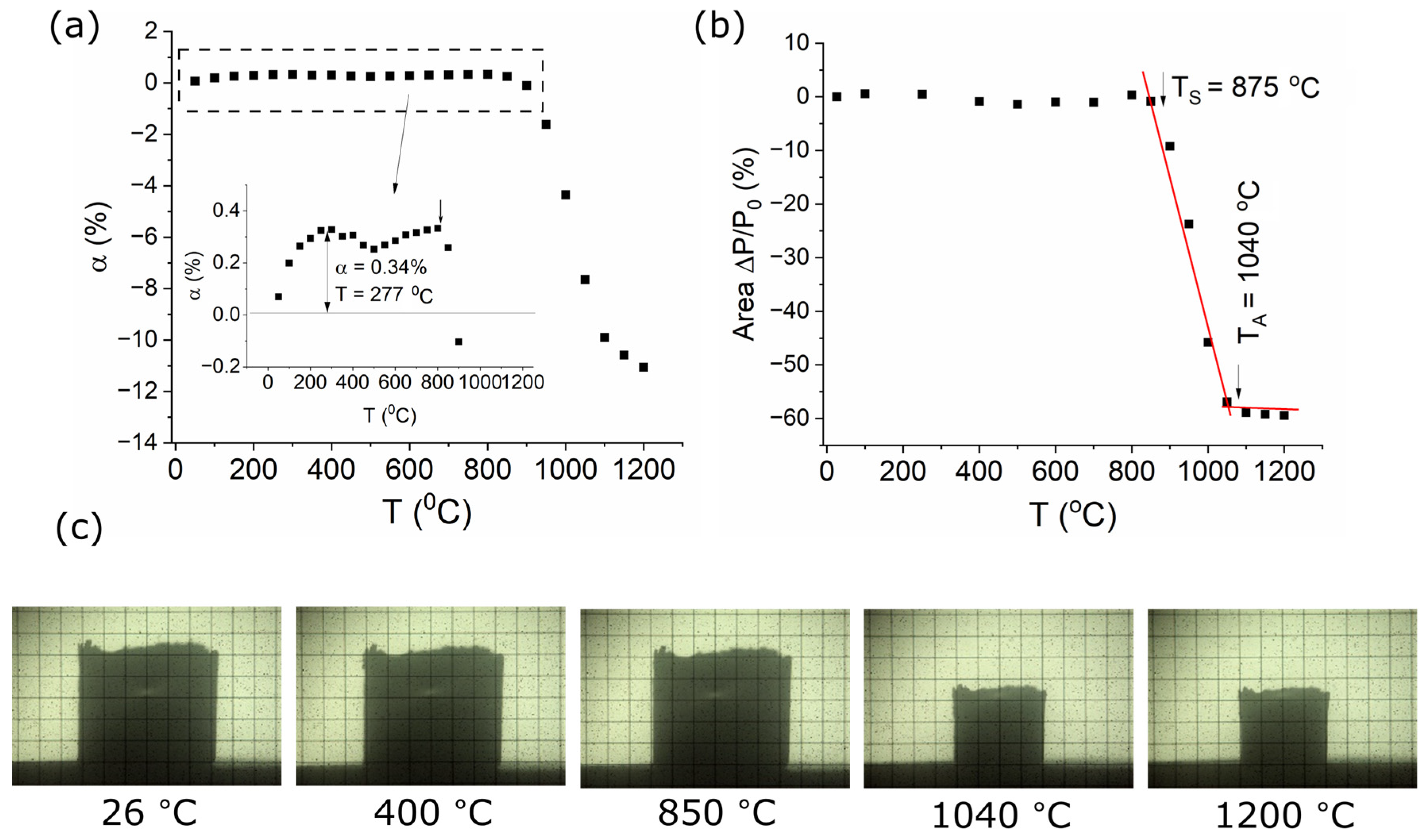 Coatings 14 01055 g005