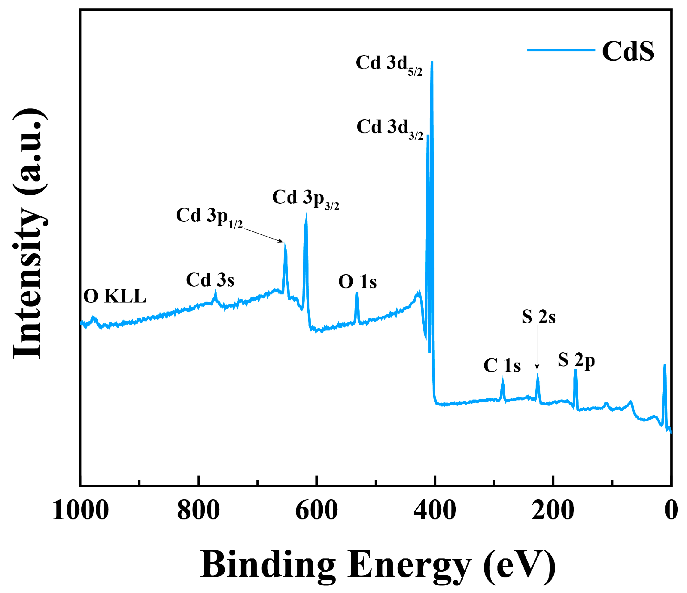 Coatings 14 01057 g002