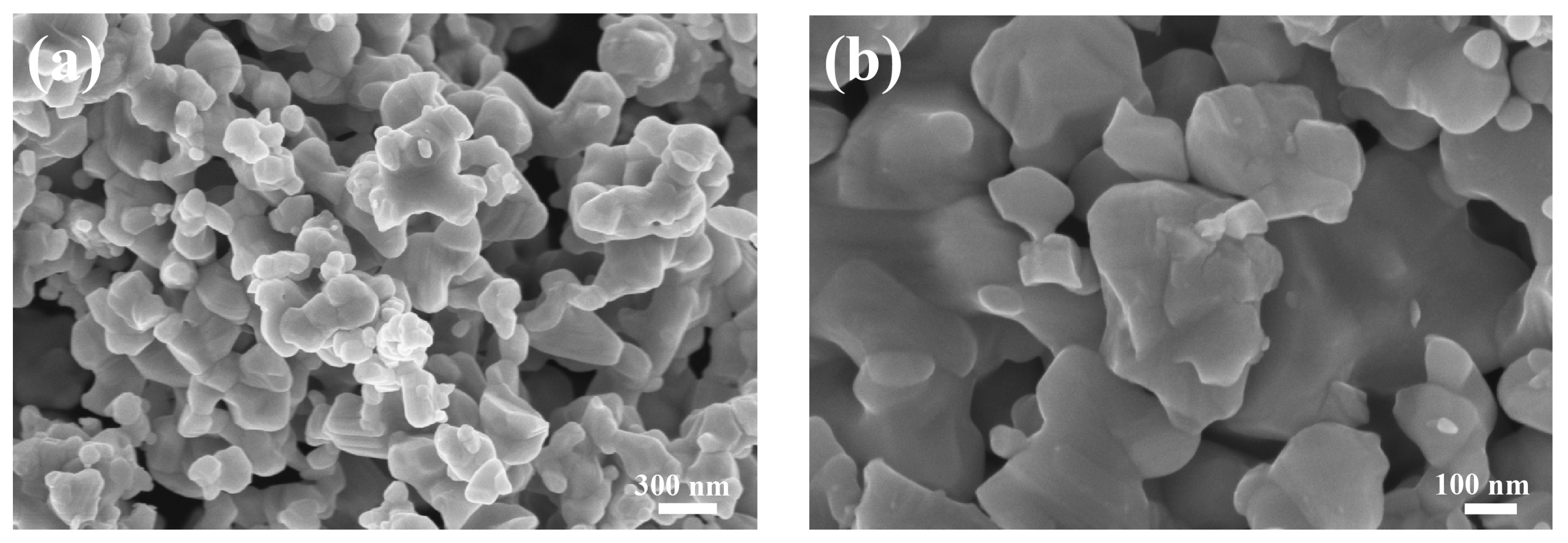 Coatings 14 01057 g003