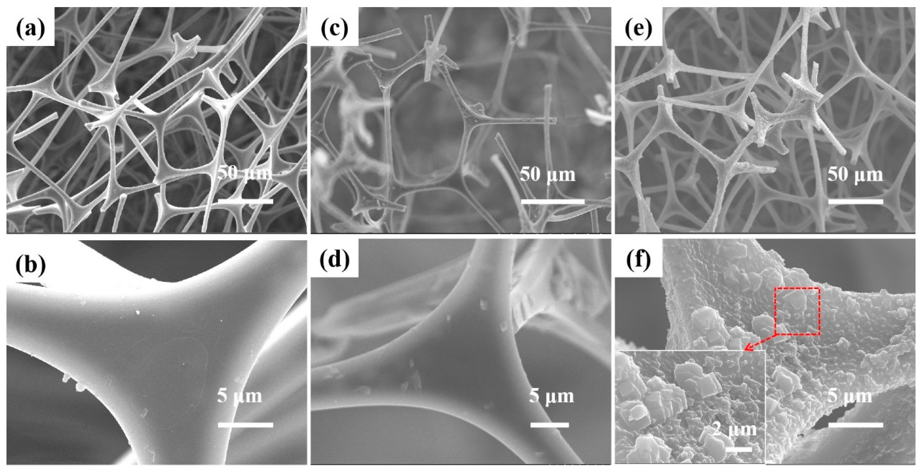 Coatings 14 01058 g001