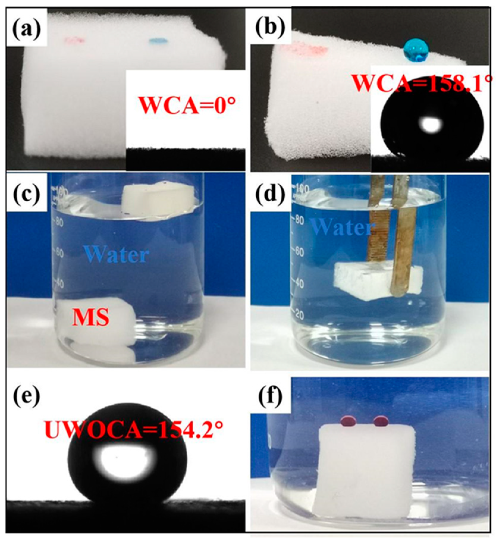 Coatings 14 01058 g004