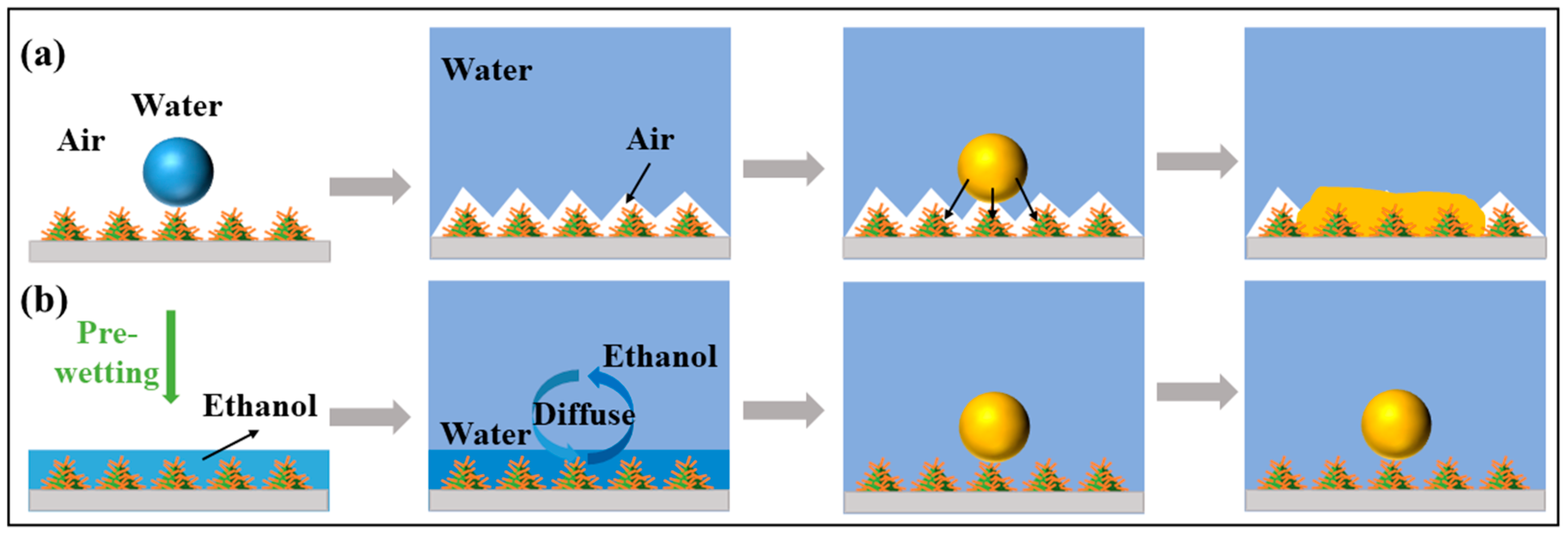 Coatings 14 01058 g005