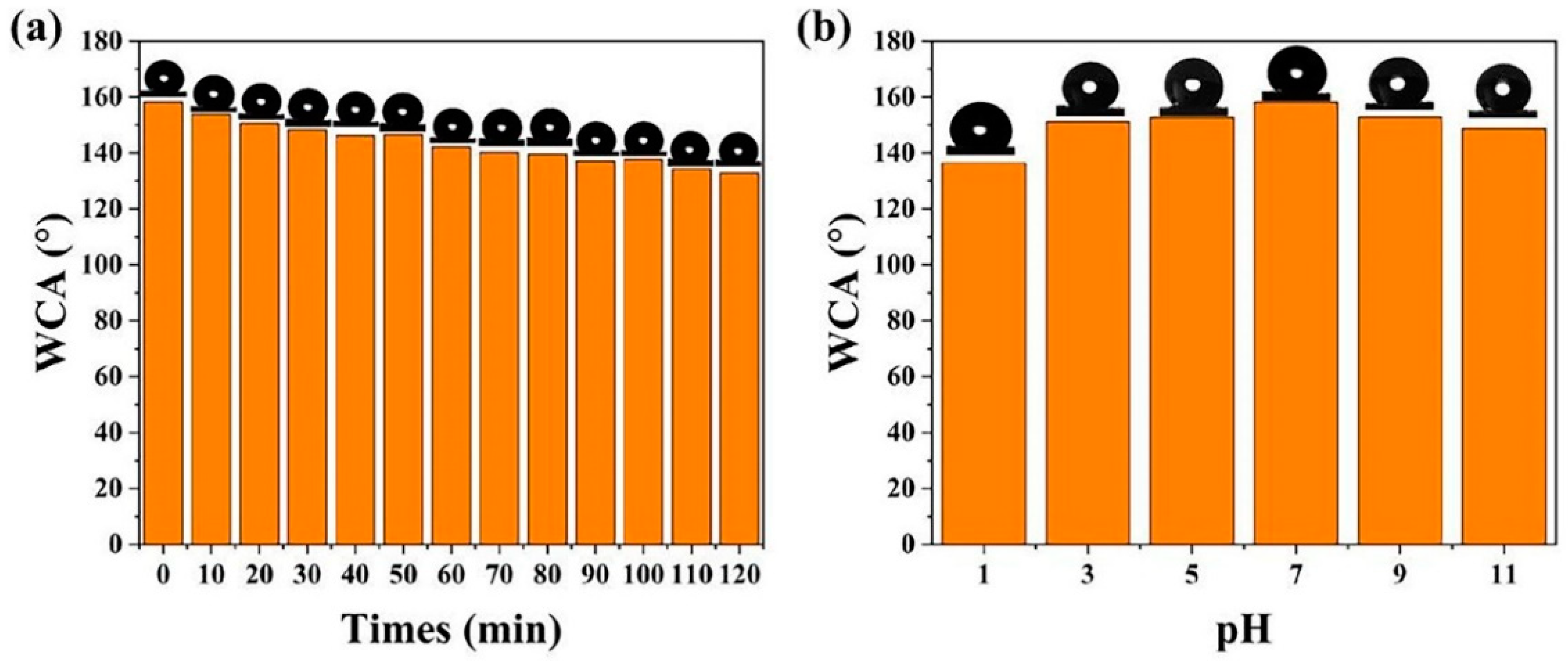 Coatings 14 01058 g011