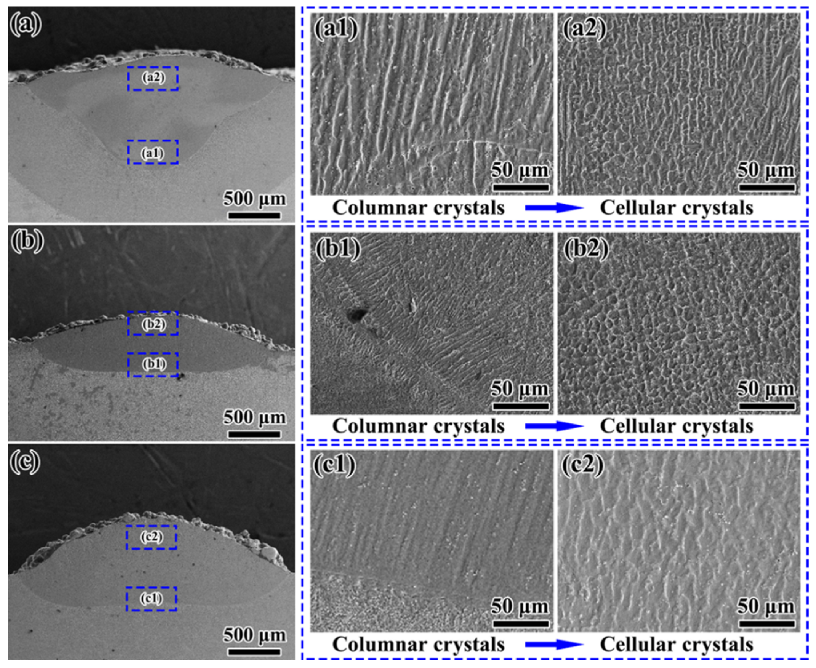 Coatings 14 01068 g002 Coatings 14 01068 g002