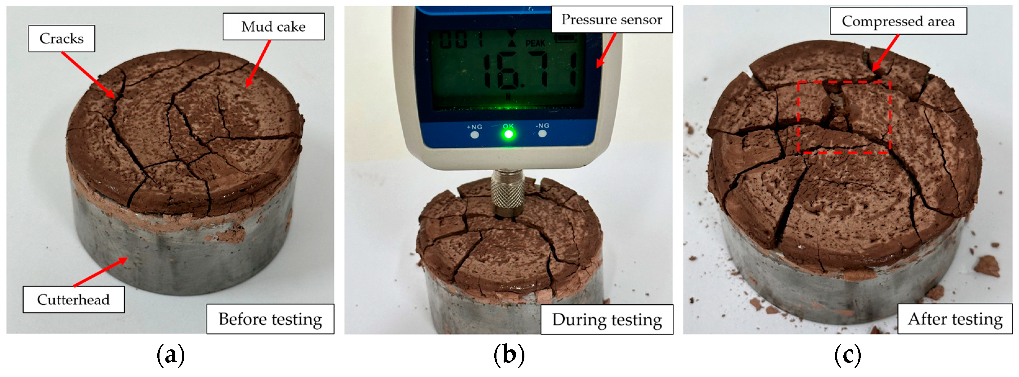 Coatings 14 01071 g025
