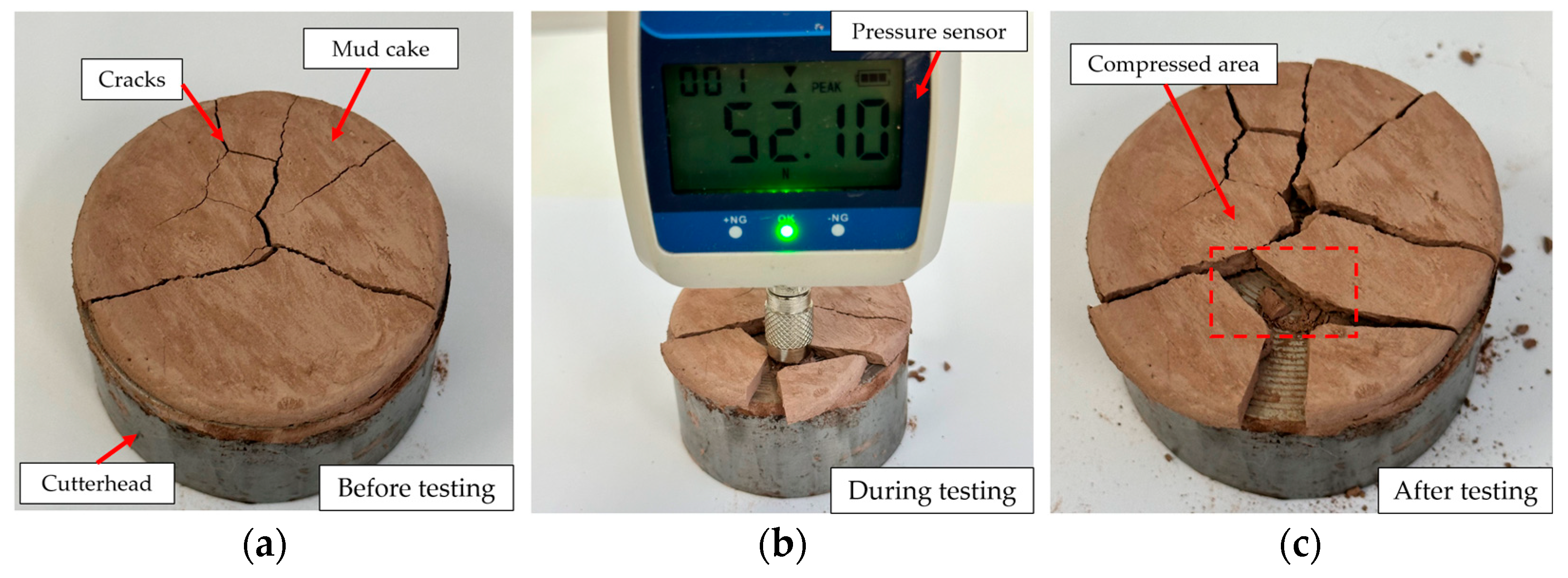 Coatings 14 01071 g026