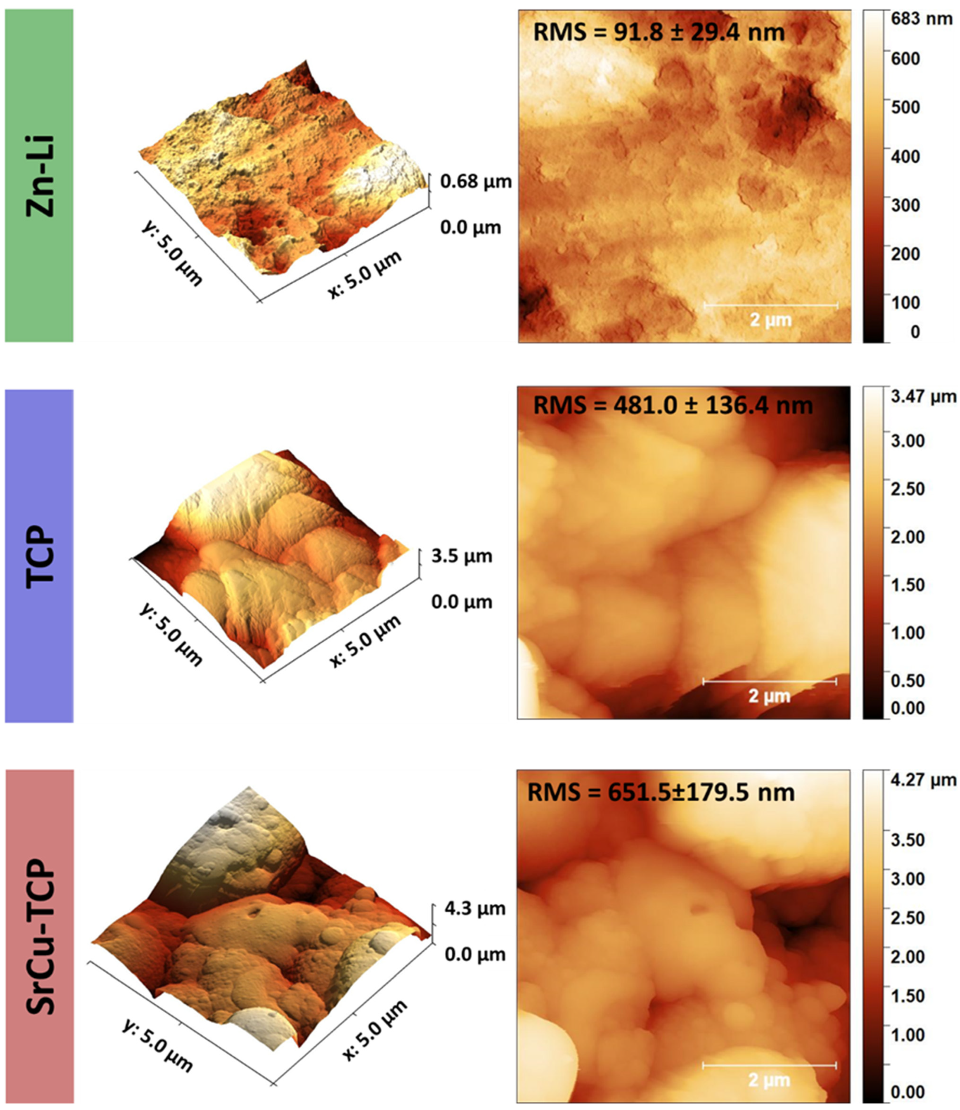 Coatings 14 01073 g003