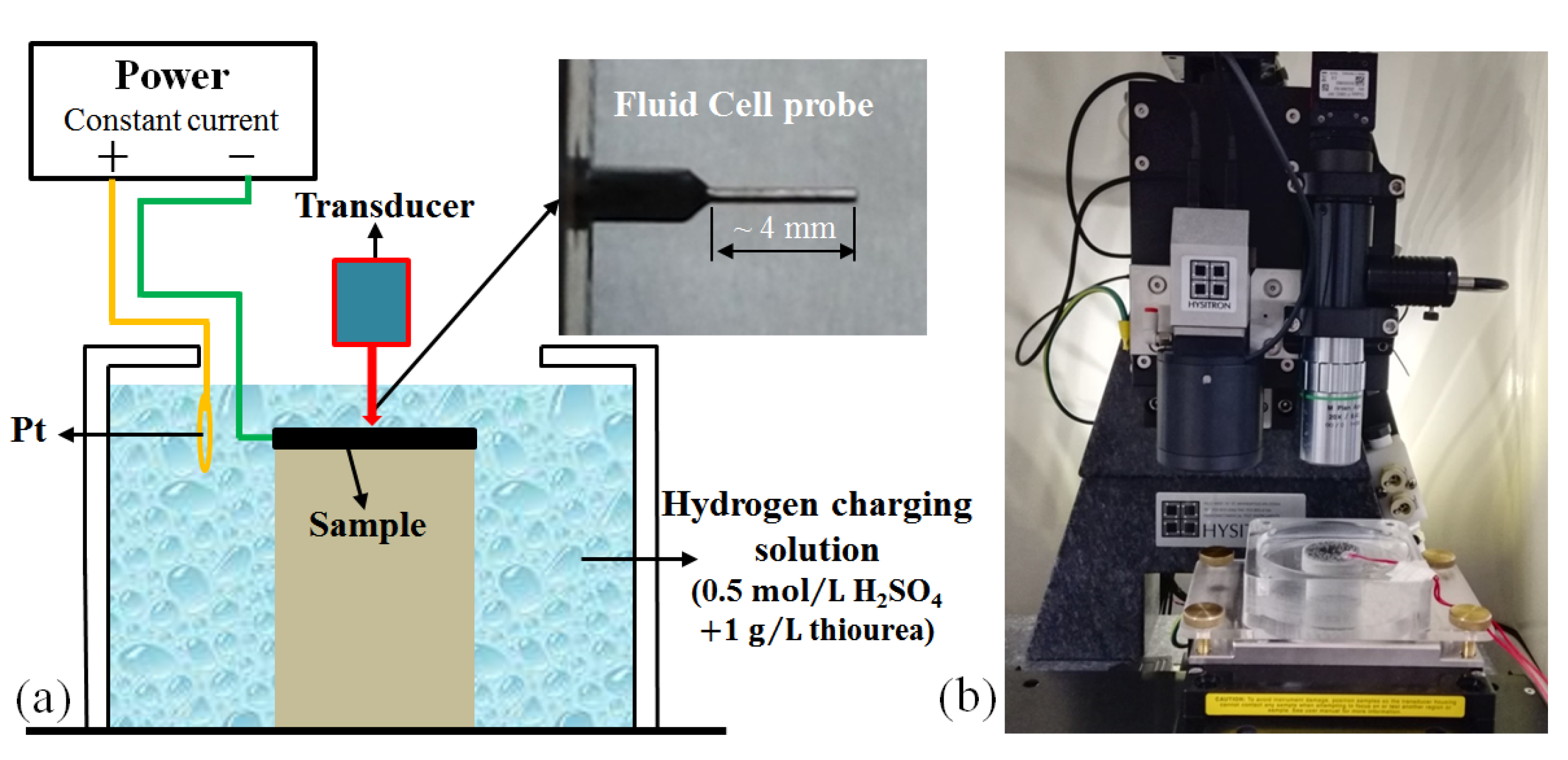 Coatings 14 01075 g001