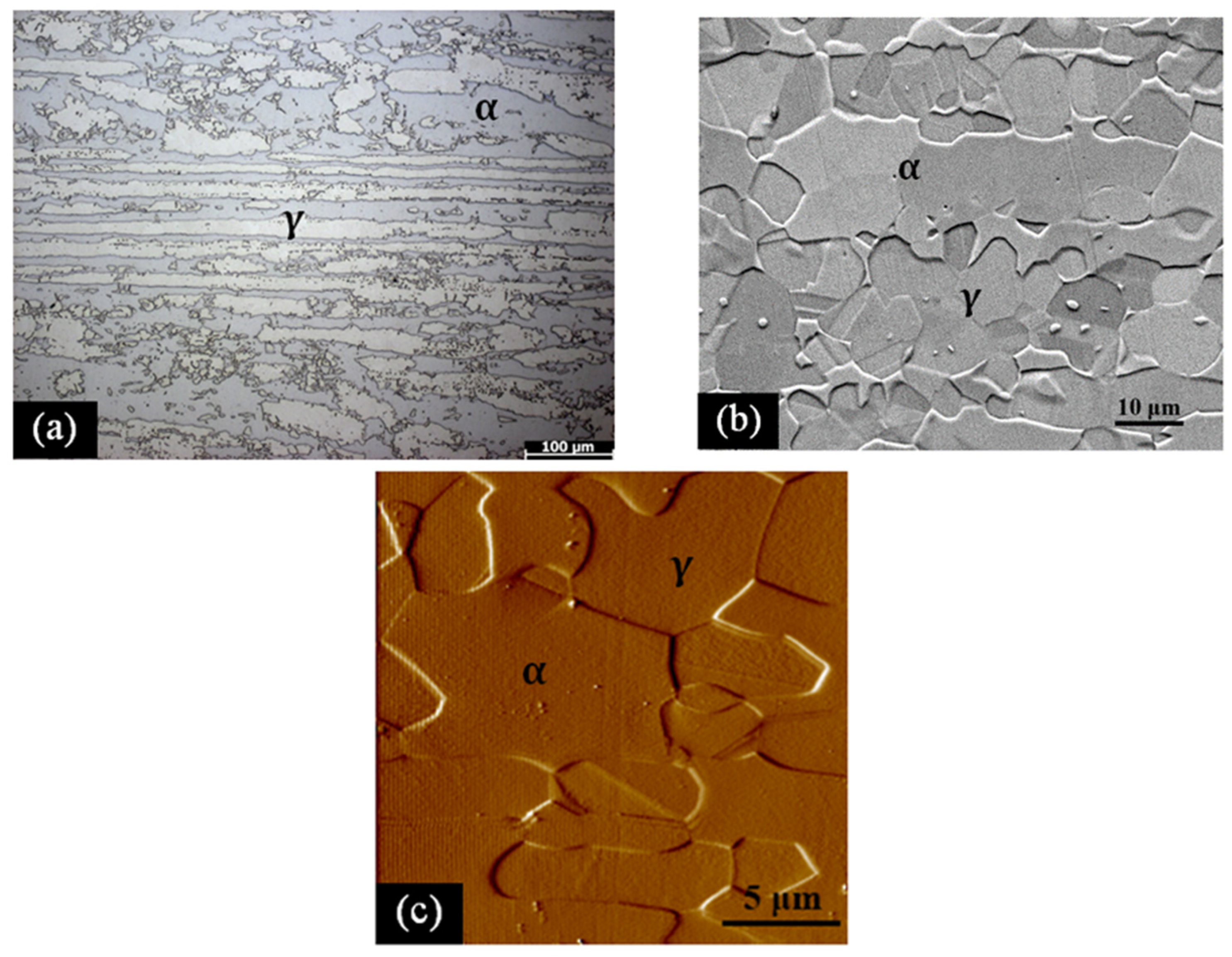Coatings 14 01075 g002