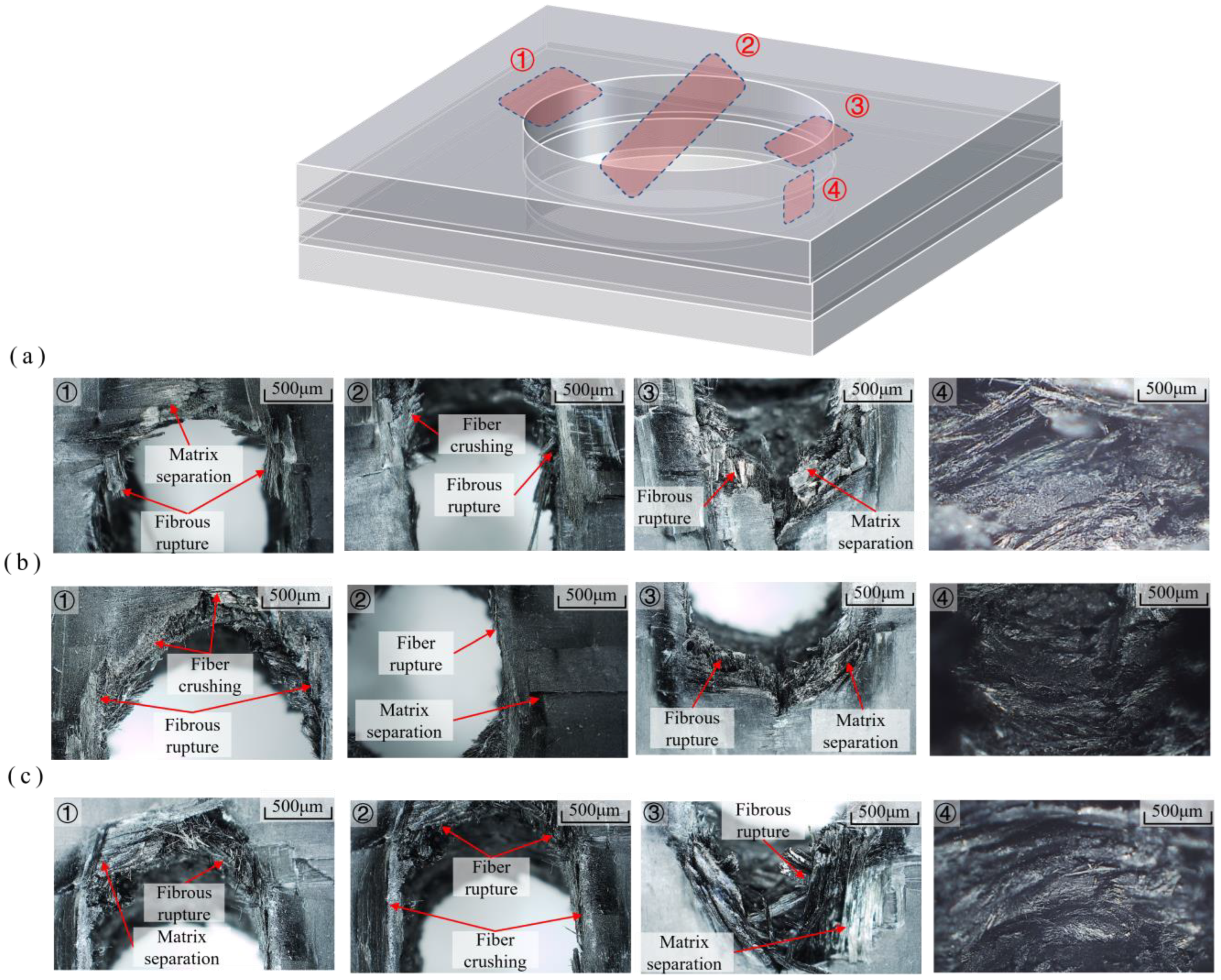 Coatings 14 01076 g017