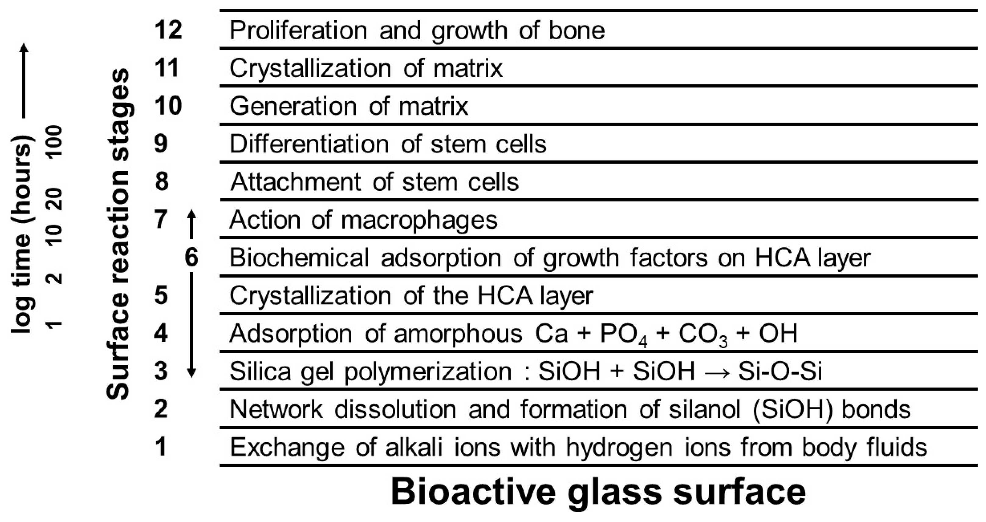 Coatings 14 01084 g005