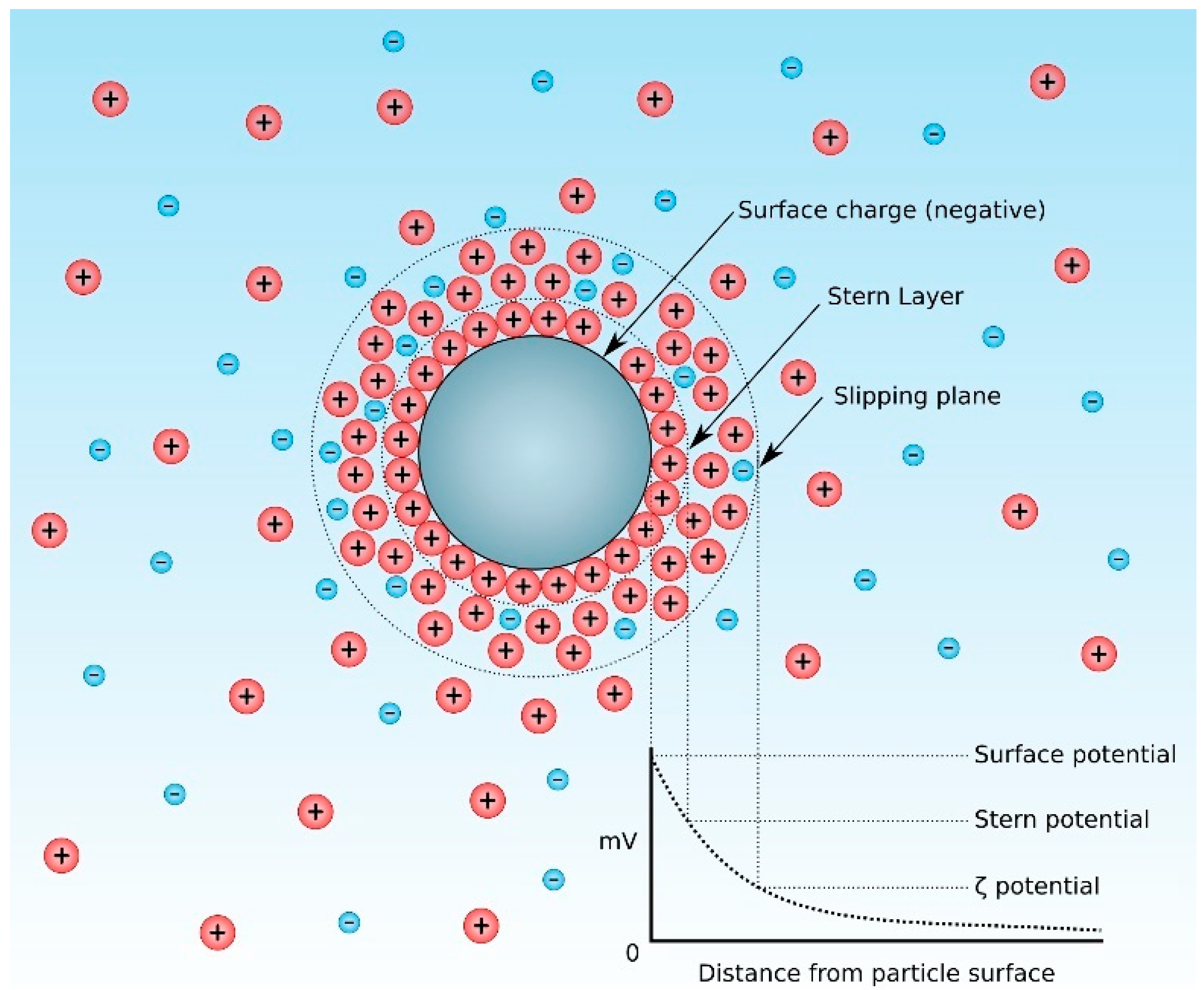 Coatings 14 01084 g008