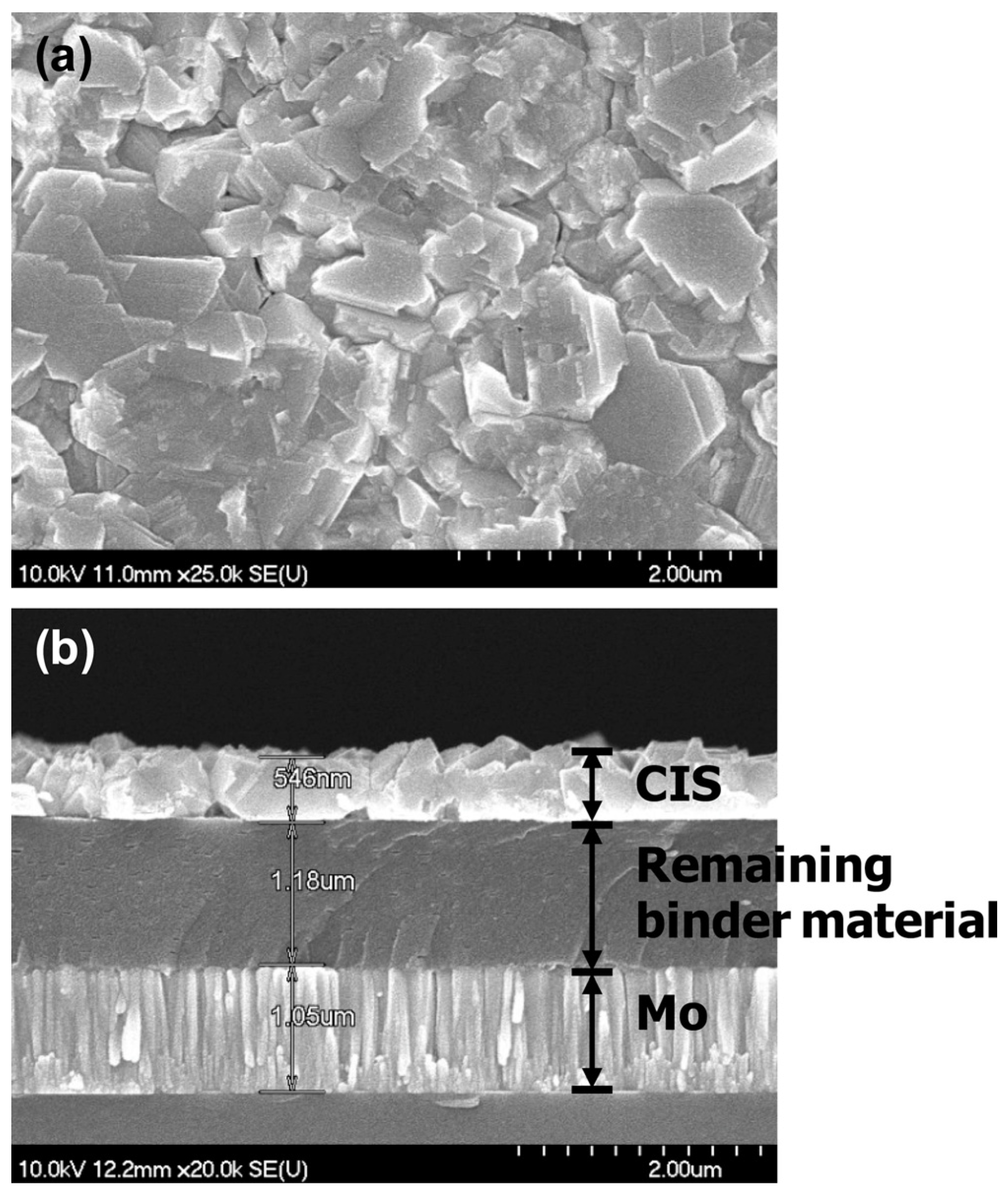 Coatings 14 01088 g005