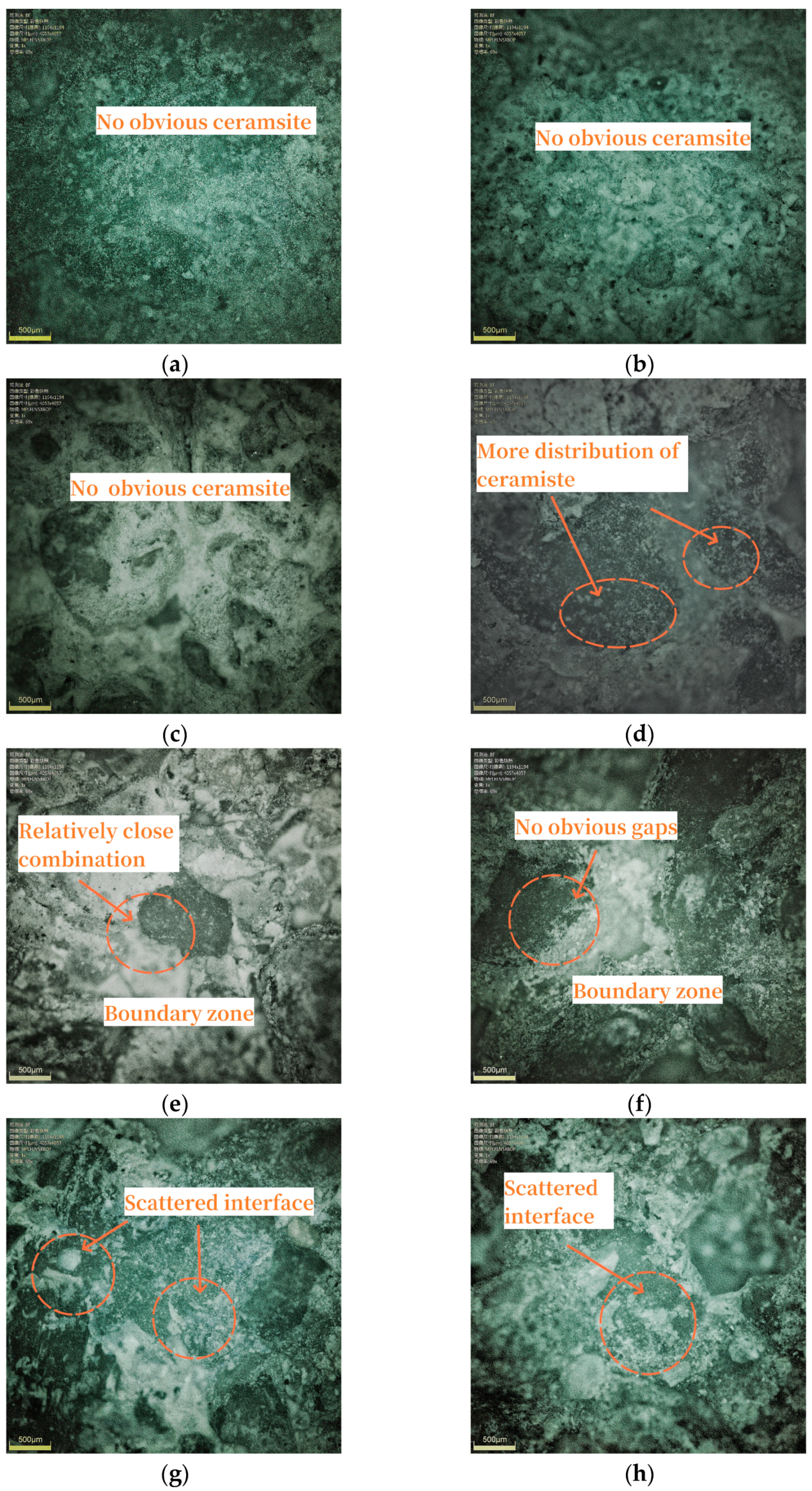 Coatings 14 01095 g009a