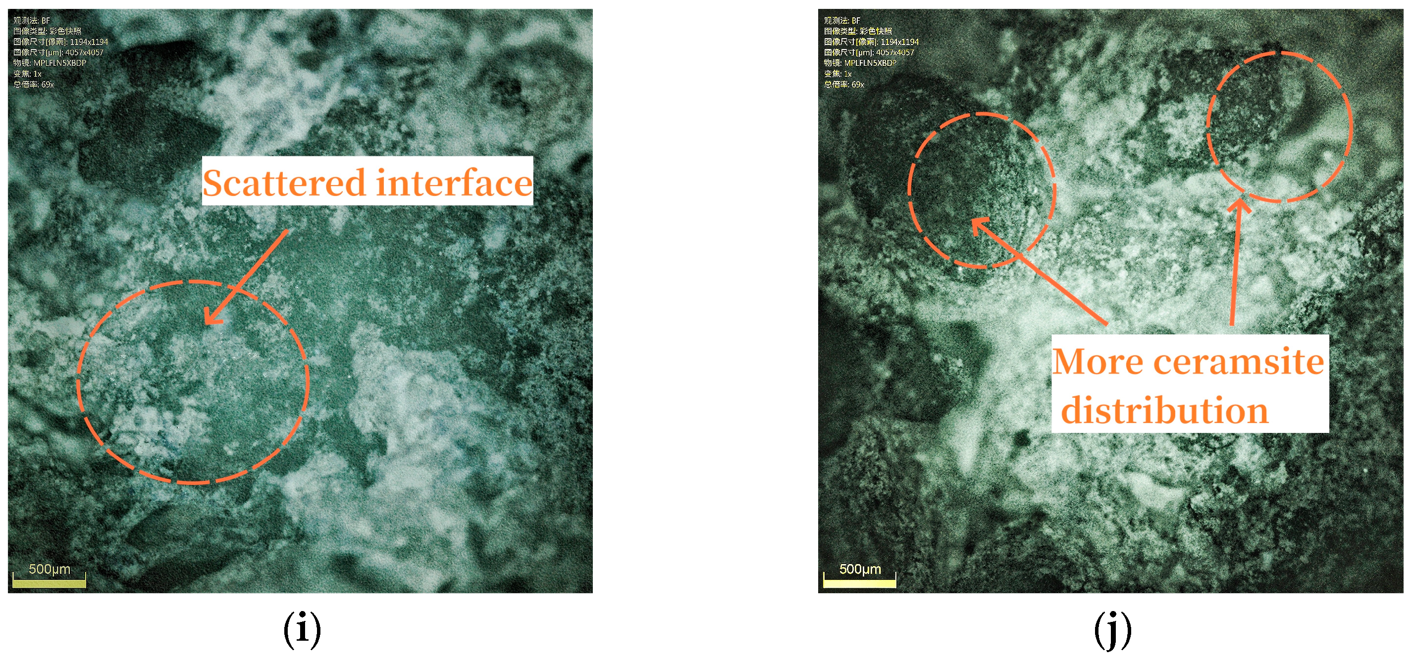 Coatings 14 01095 g009b