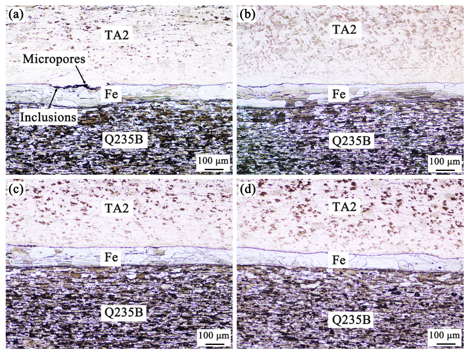 Coatings 14 01096 g003
