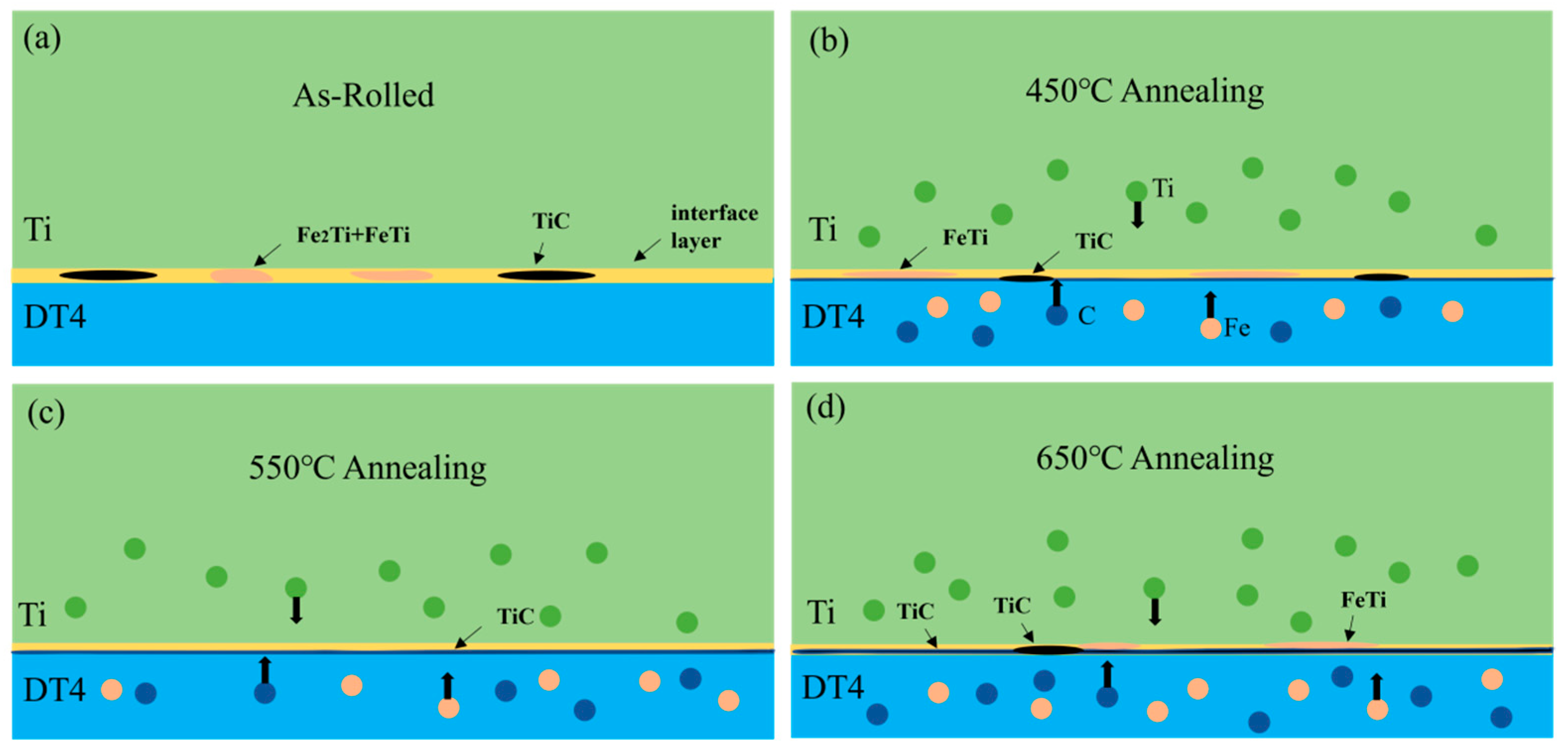 Coatings 14 01096 g008
